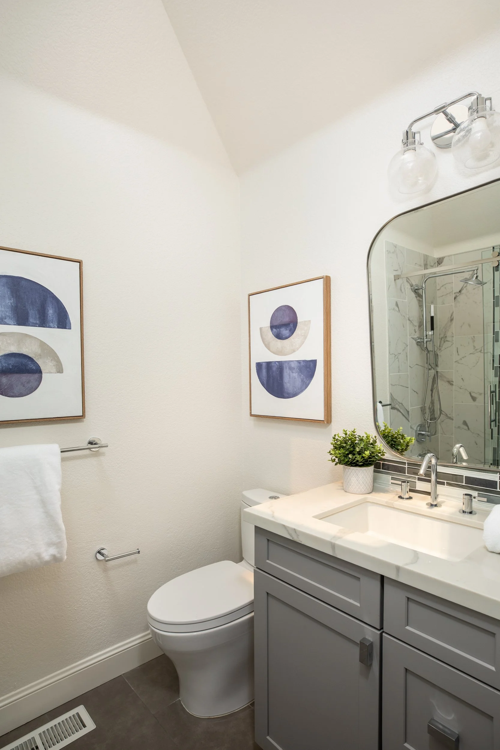 A small bathroom with a white toilet, a gray vanity with a white marble countertop, a large oval mirror, a potted plant, and two framed abstract art pieces on the wall. A shower with a glass door and marble walls is visible in the reflection.