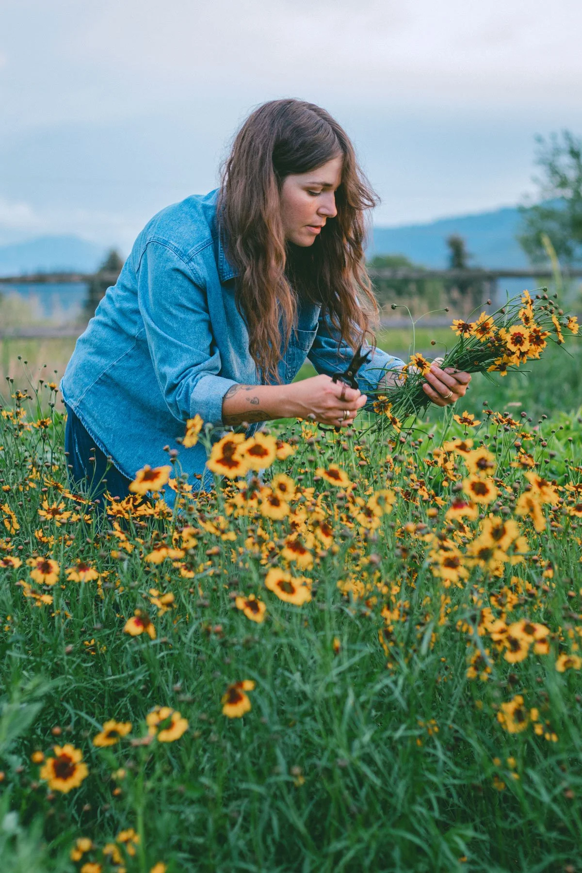 Woman in denim jacket picking yellow and orange flowers in a field.