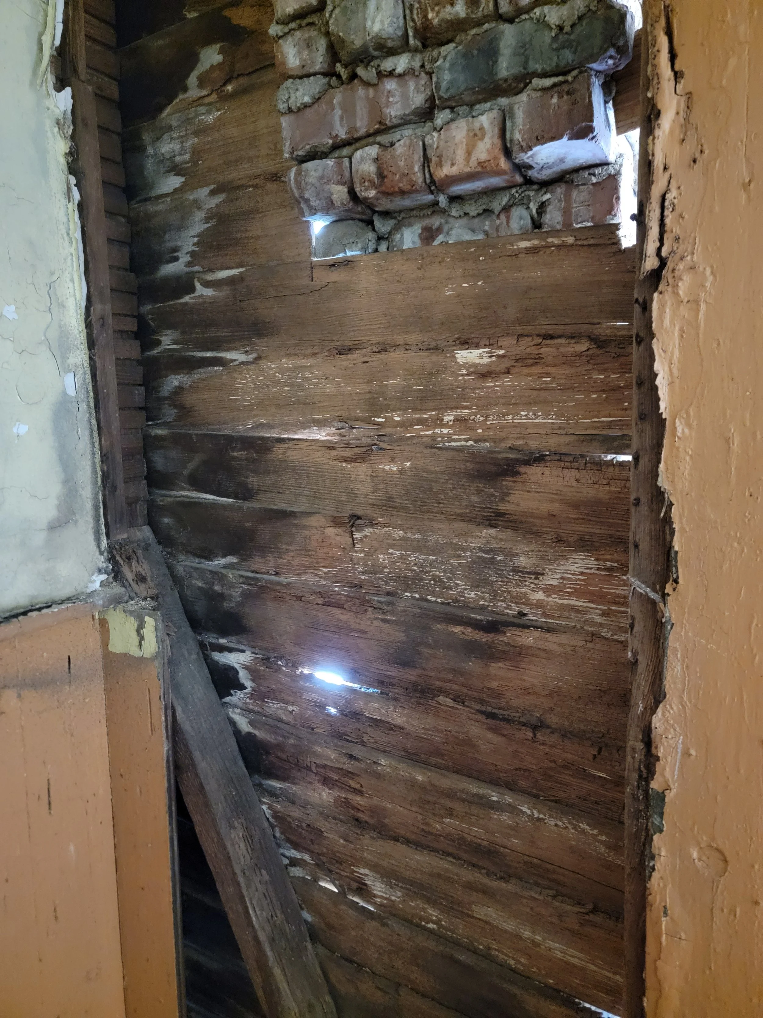 20260213_101549.jpg