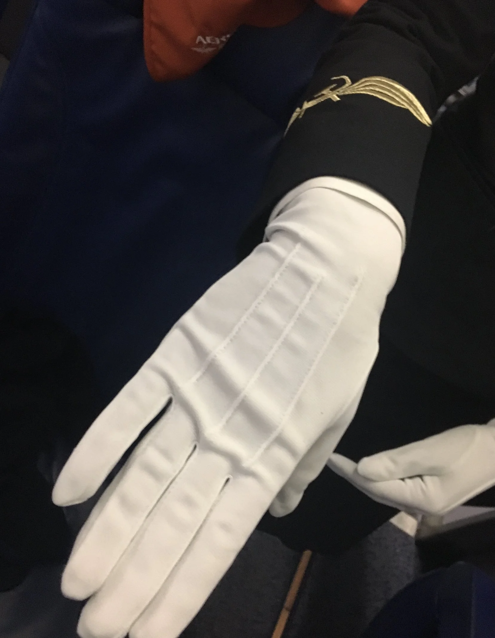 Brady's Aeroflot glove picture