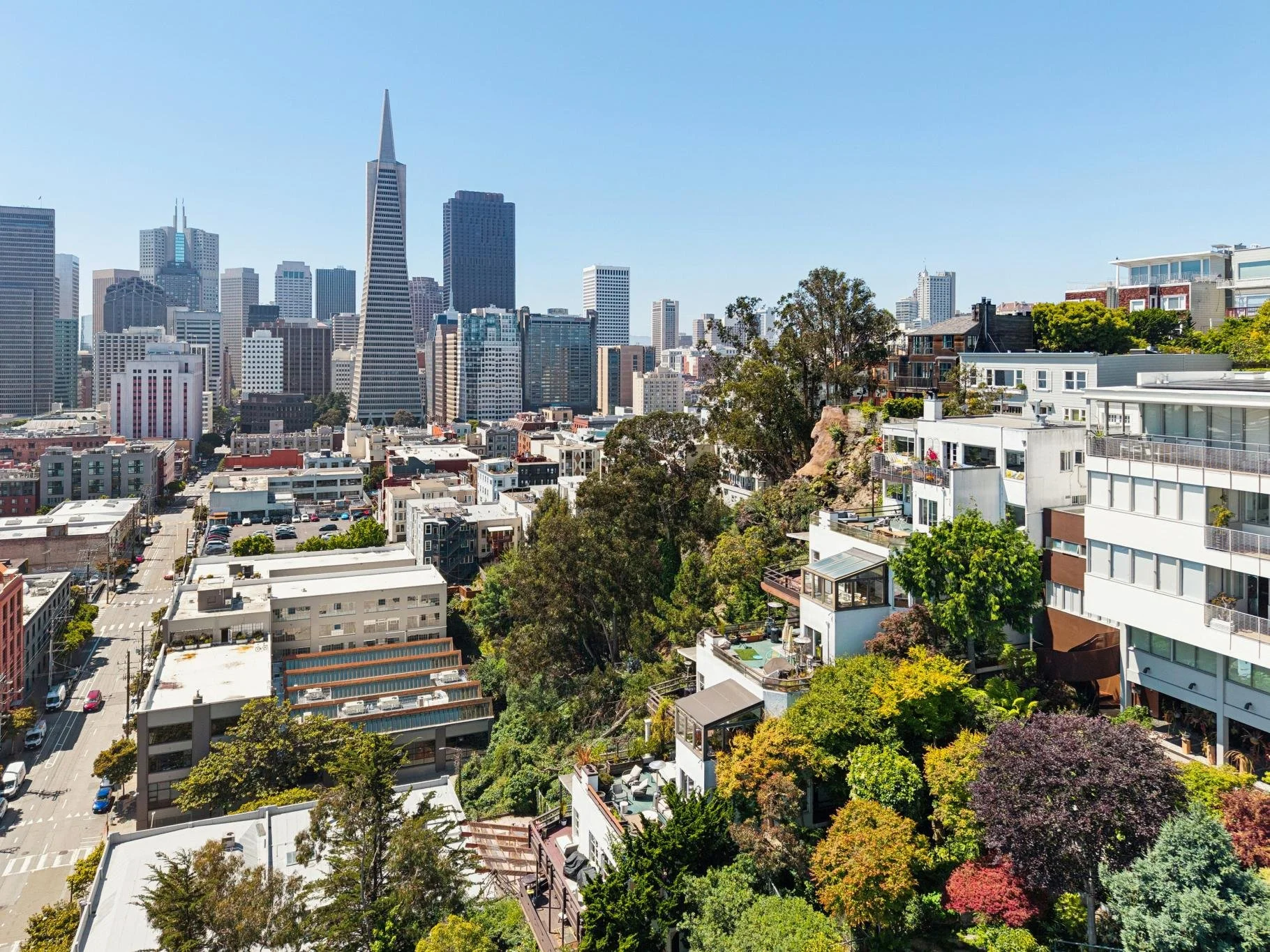 View of San Francisco skyline with skyscrapers, including the Salesforce Tower, and residential buildings surrounded by greenery under a clear blue sky.