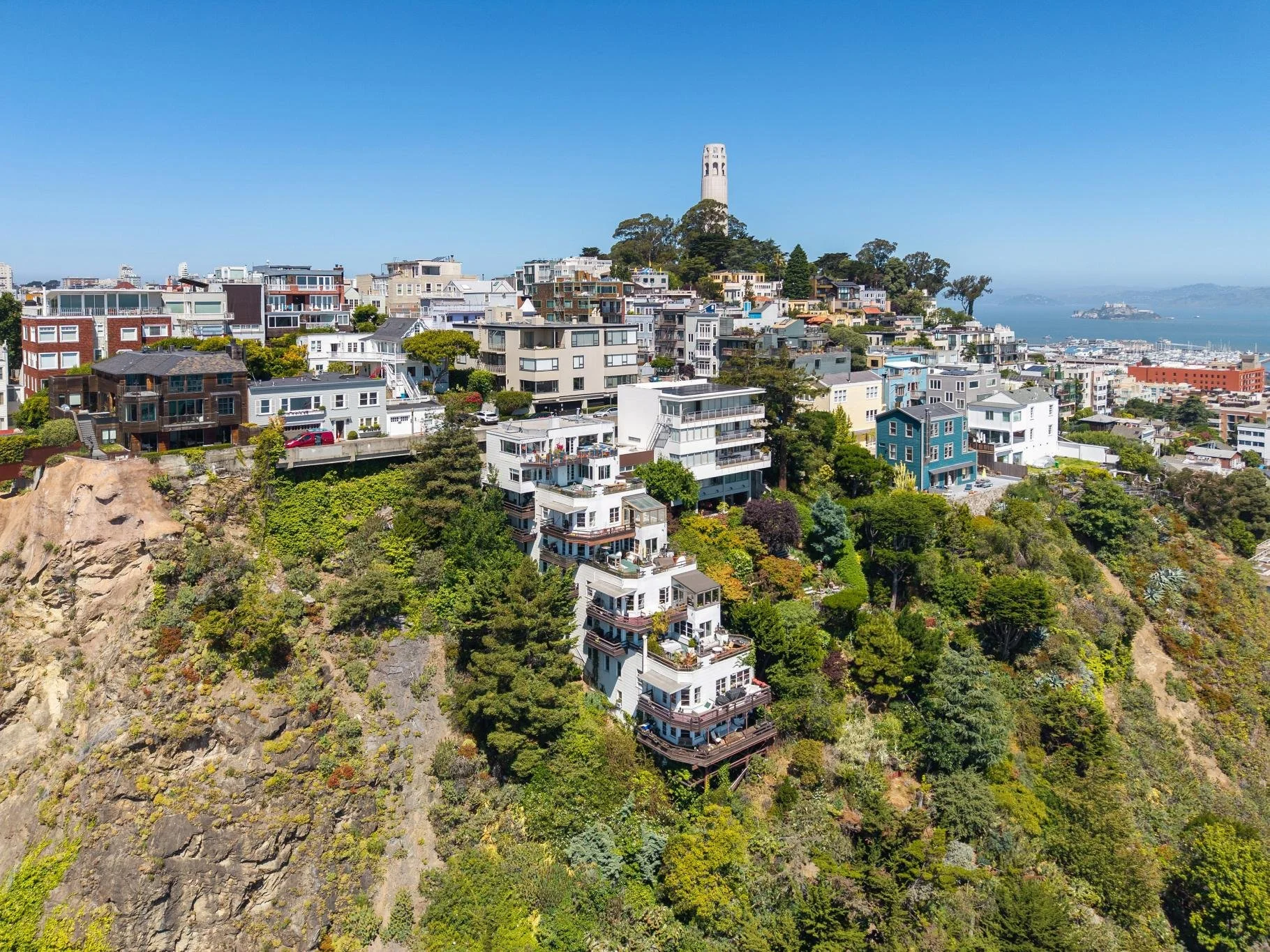 Houses and buildings on a hillside with lush green trees, overlooking a body of water with boats, under a clear blue sky. The landmark Coit Tower is visible on top of the hill.