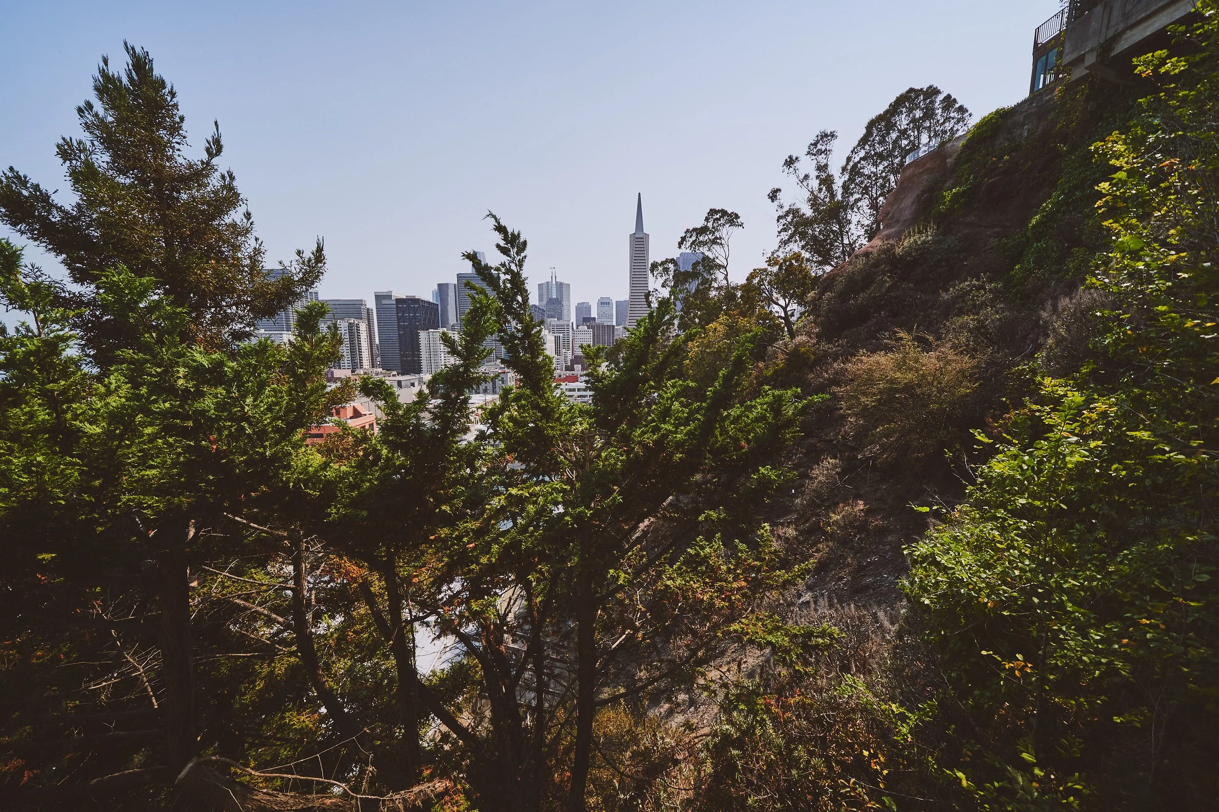 View of a city skyline with tall buildings and a distinct, pointed skyscraper, seen through trees and foliage in the foreground.
