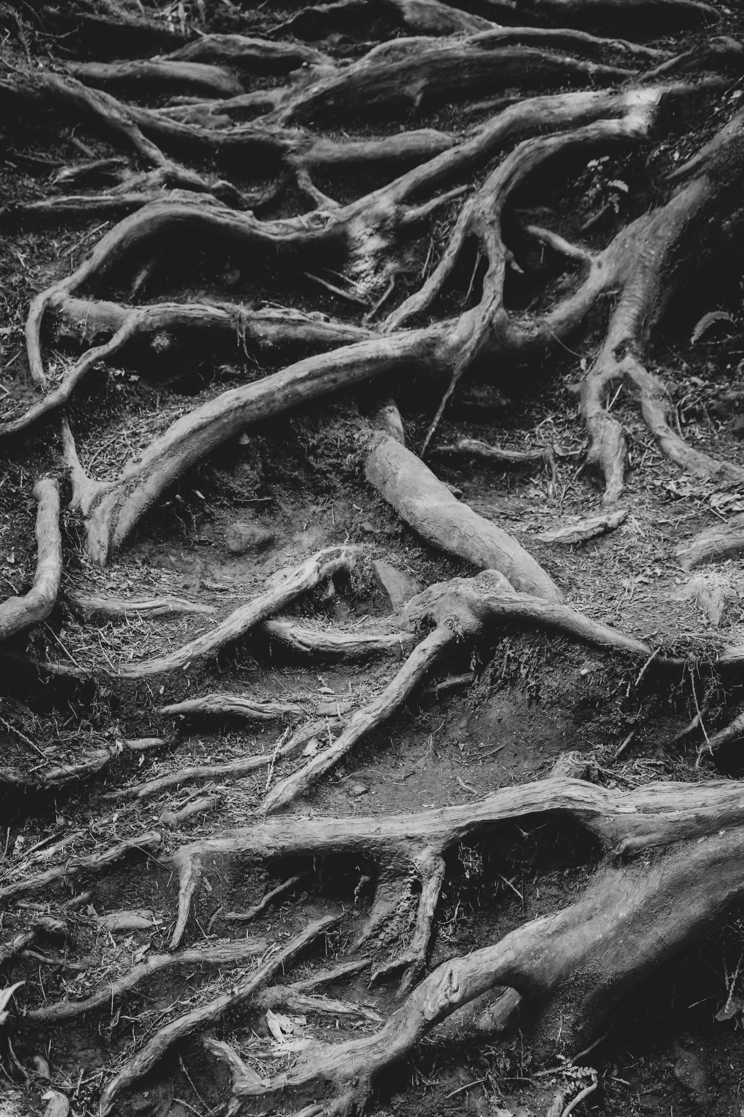 Root-Cause Blindness - The Silent Failure Pattern Inside “Busy” Organisations