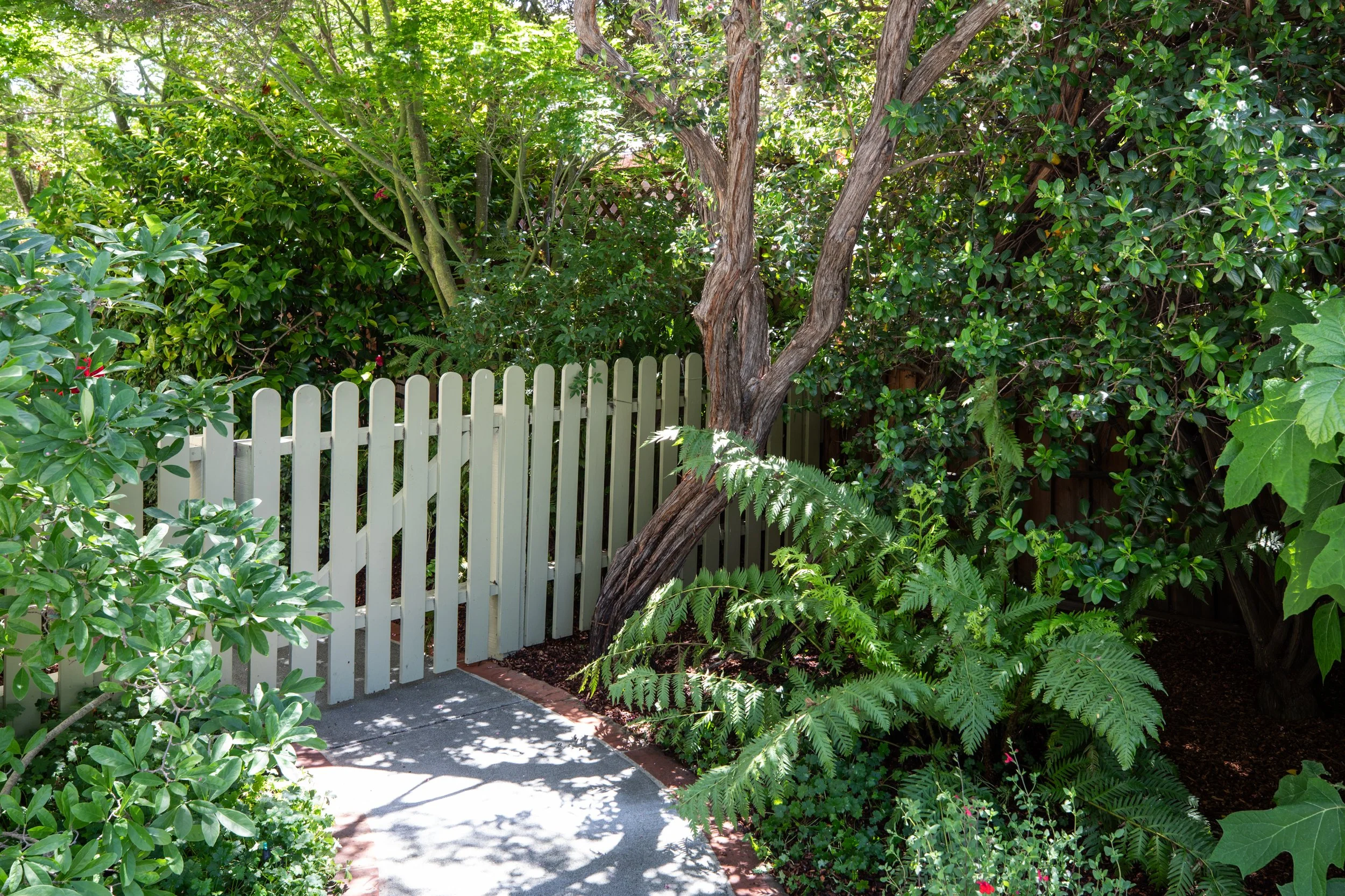 A garden scene with a white picket fence, lush green bushes, small trees, and ferns. A paved pathway is partly visible in the foreground.