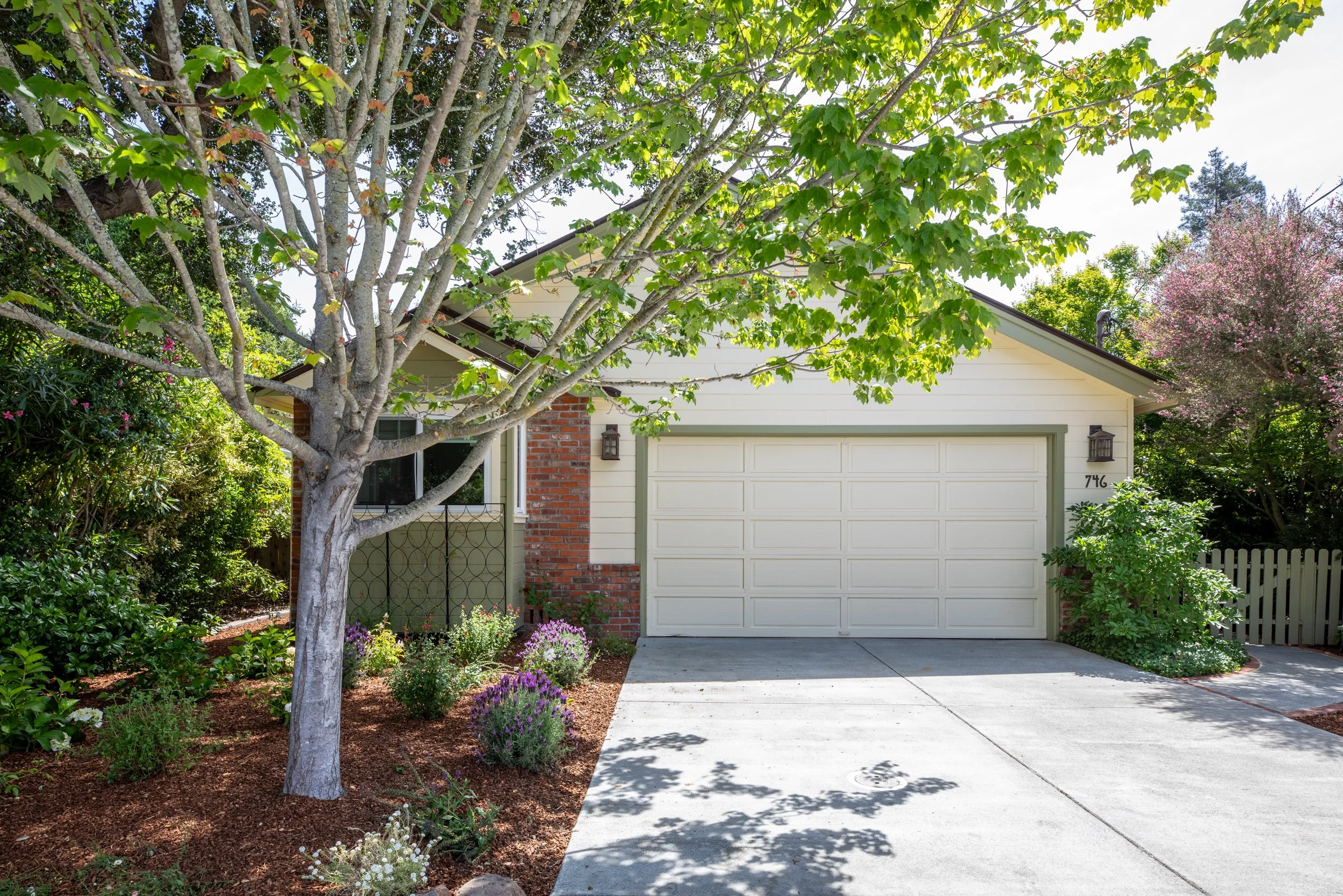 Front yard of a house with a driveway, a large leafy tree, and various plants and flowers.