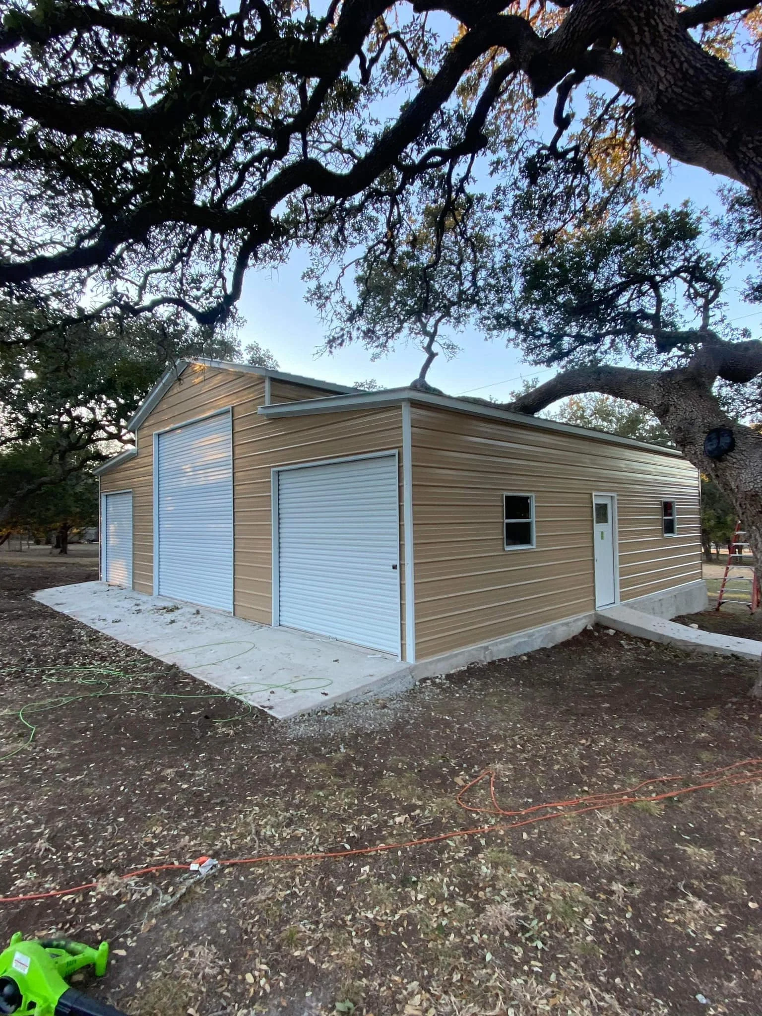 A newly built beige metal garage with closed white roll-up doors and a small white door, set in a yard with bare soil and fallen leaves. A large tree with sprawling branches extends over the garage, partially obscuring the sky.