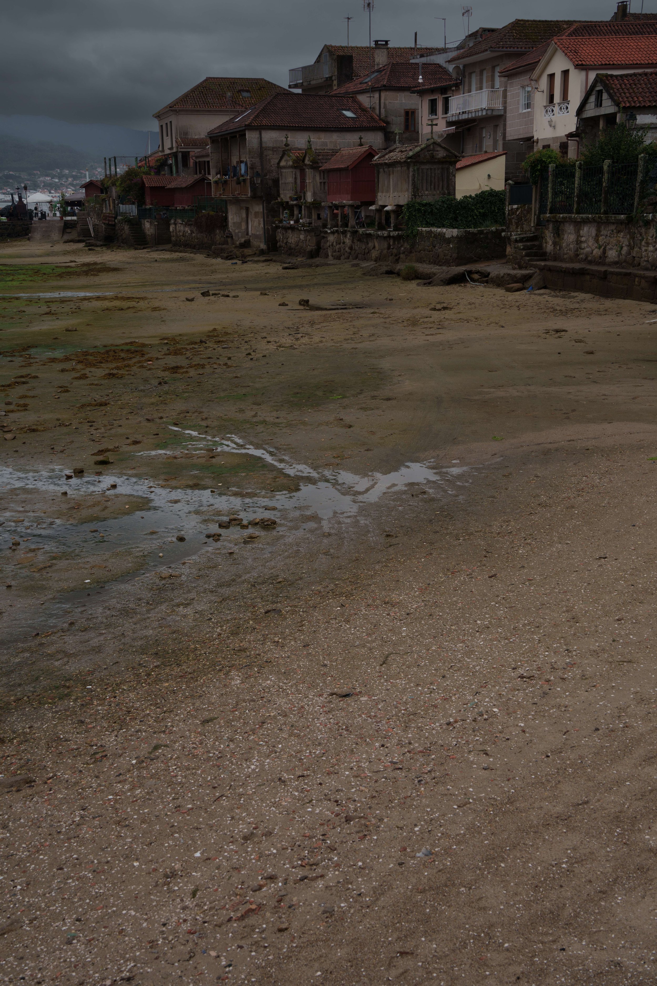 DSC01584.jpg