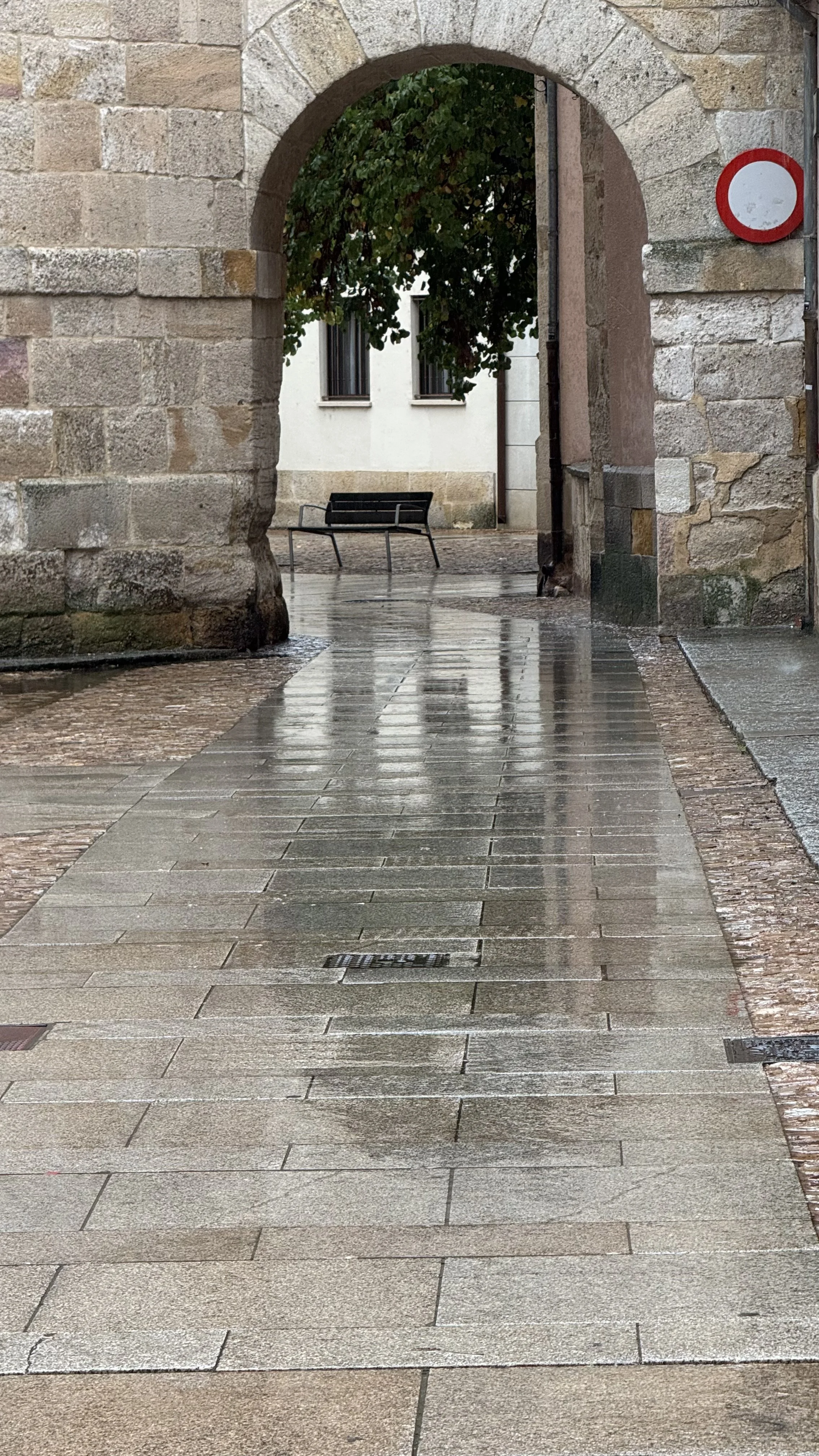 IMG_3506.jpeg