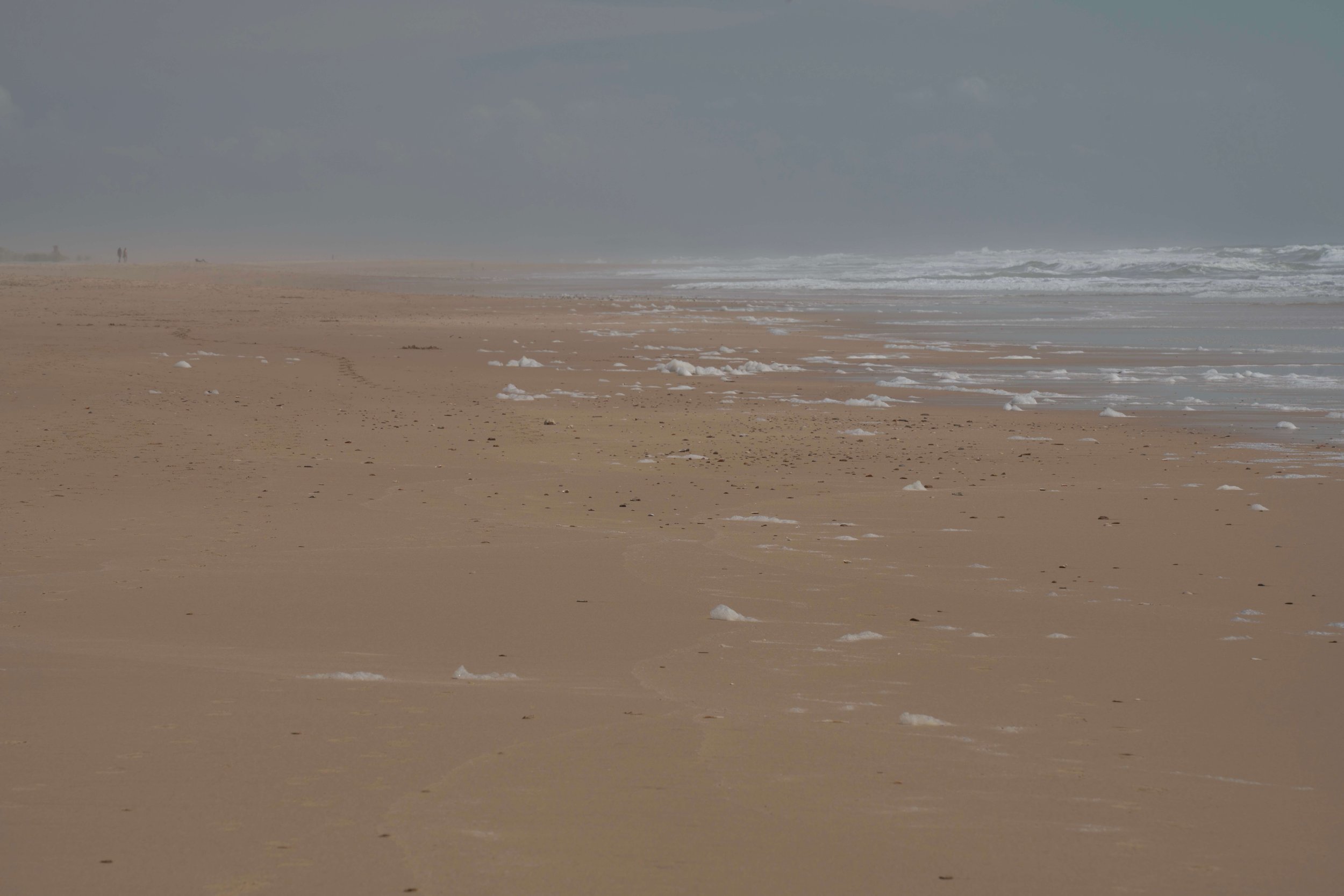 DSC00172.jpg