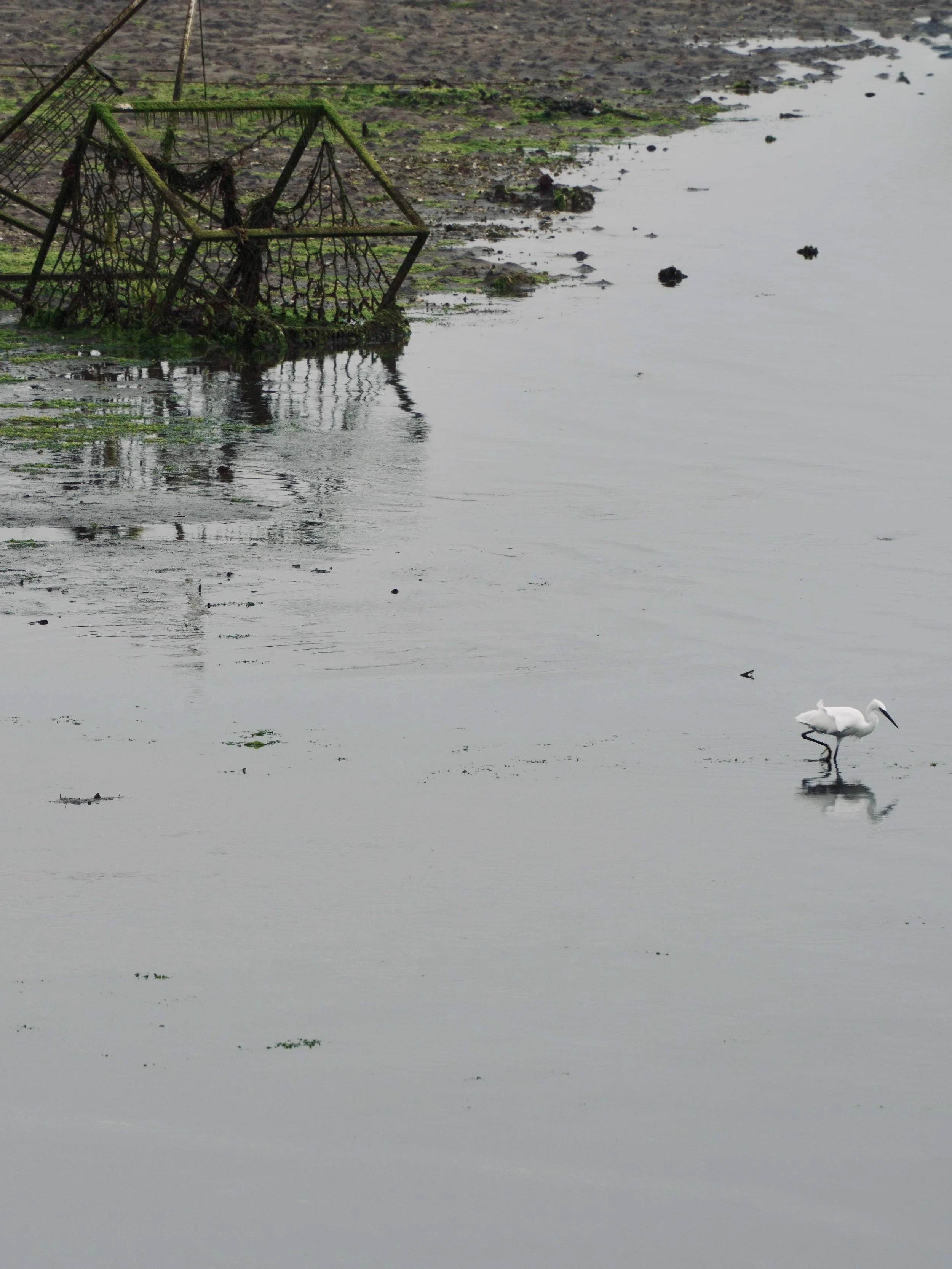 DSC01562.1.jpg