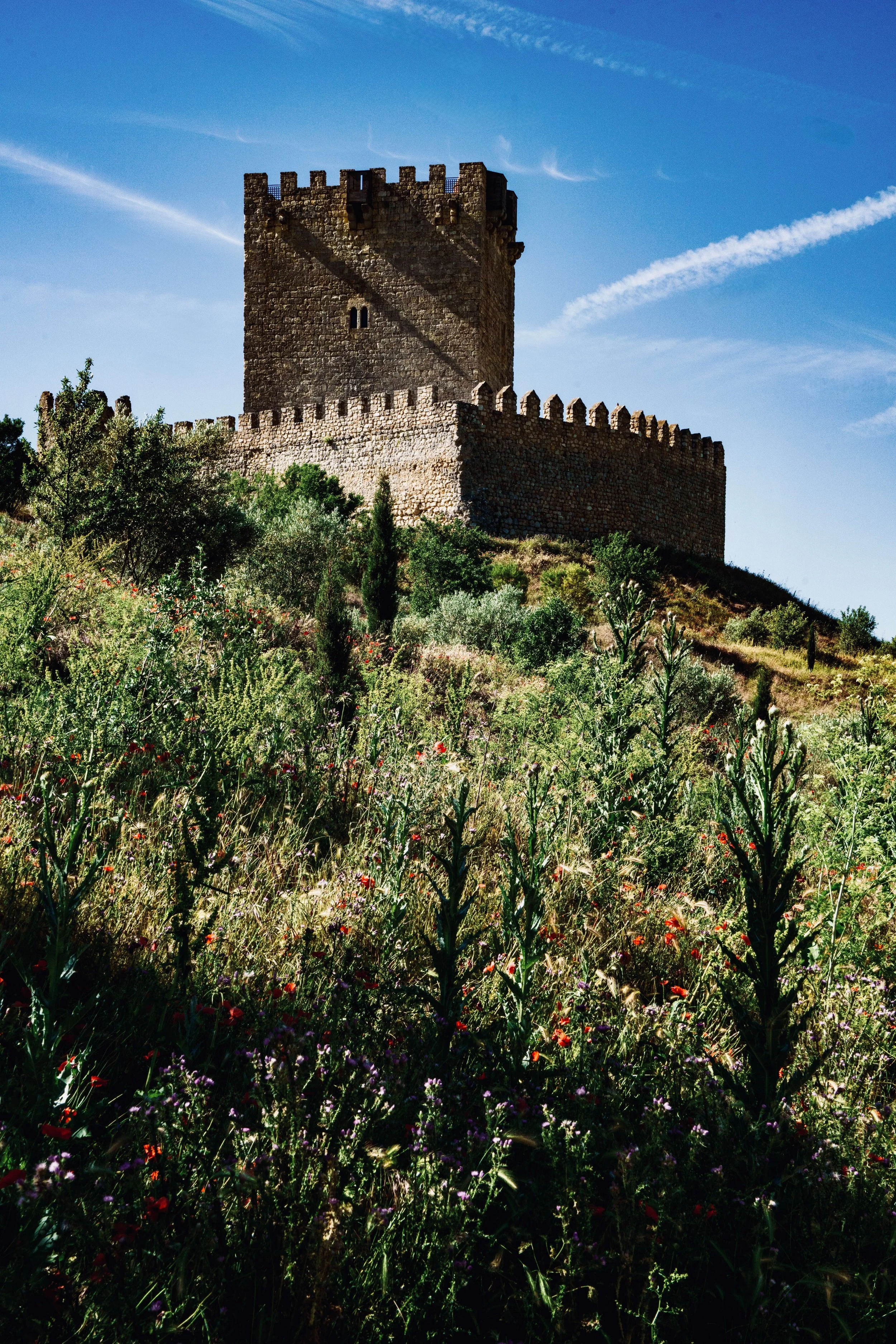 Castillo de Tiedra