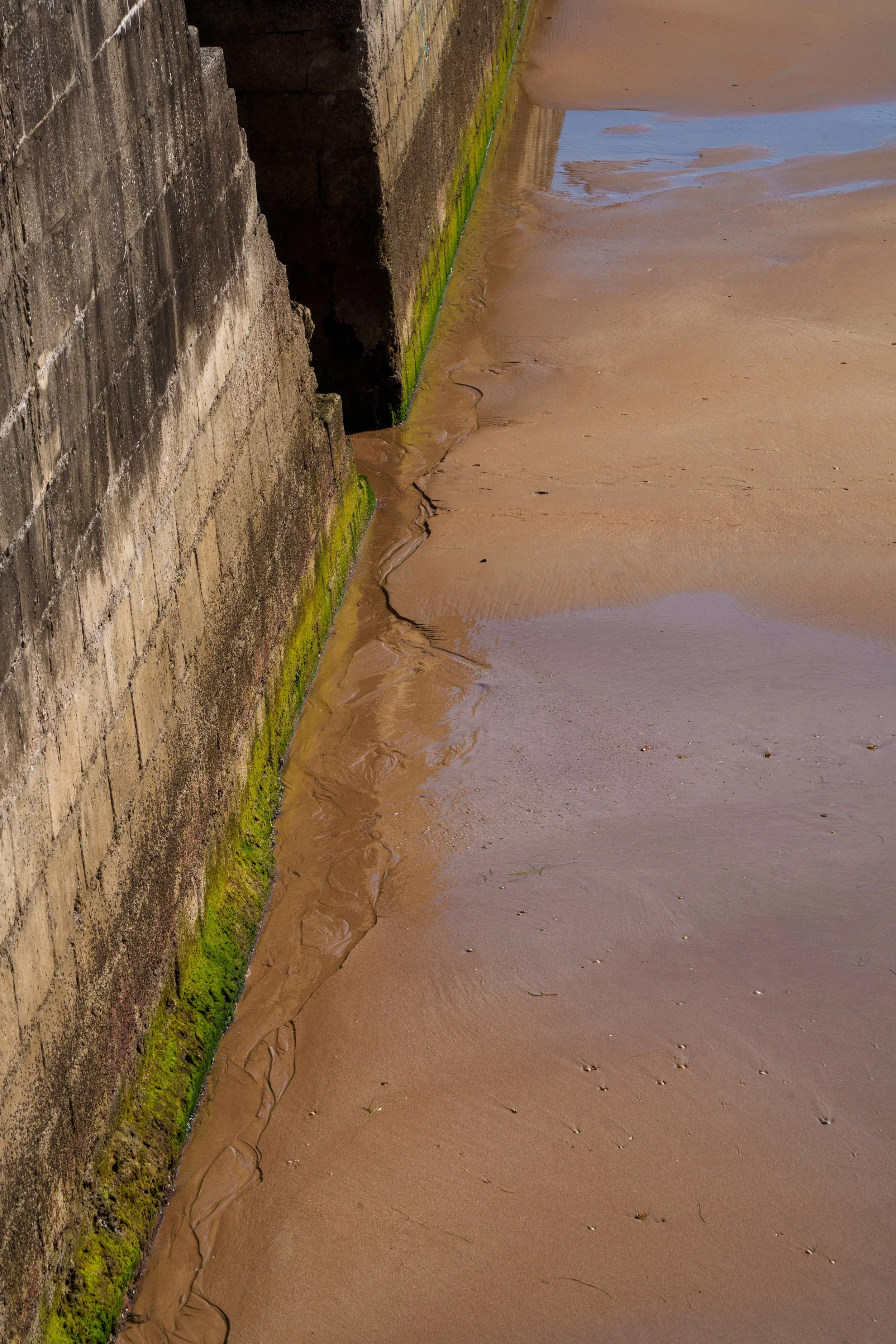 DSC03055.jpg