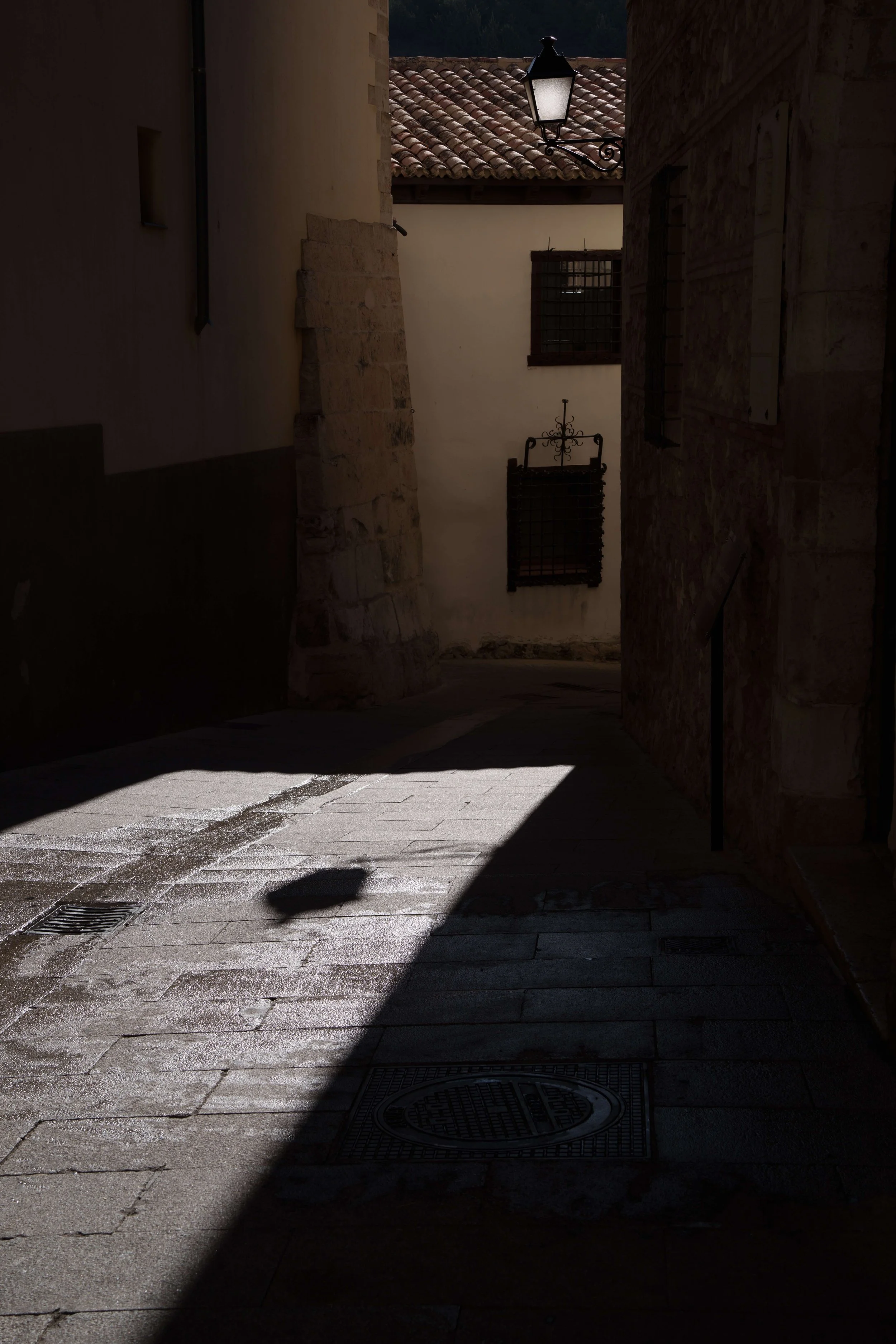 DSC08272.jpg
