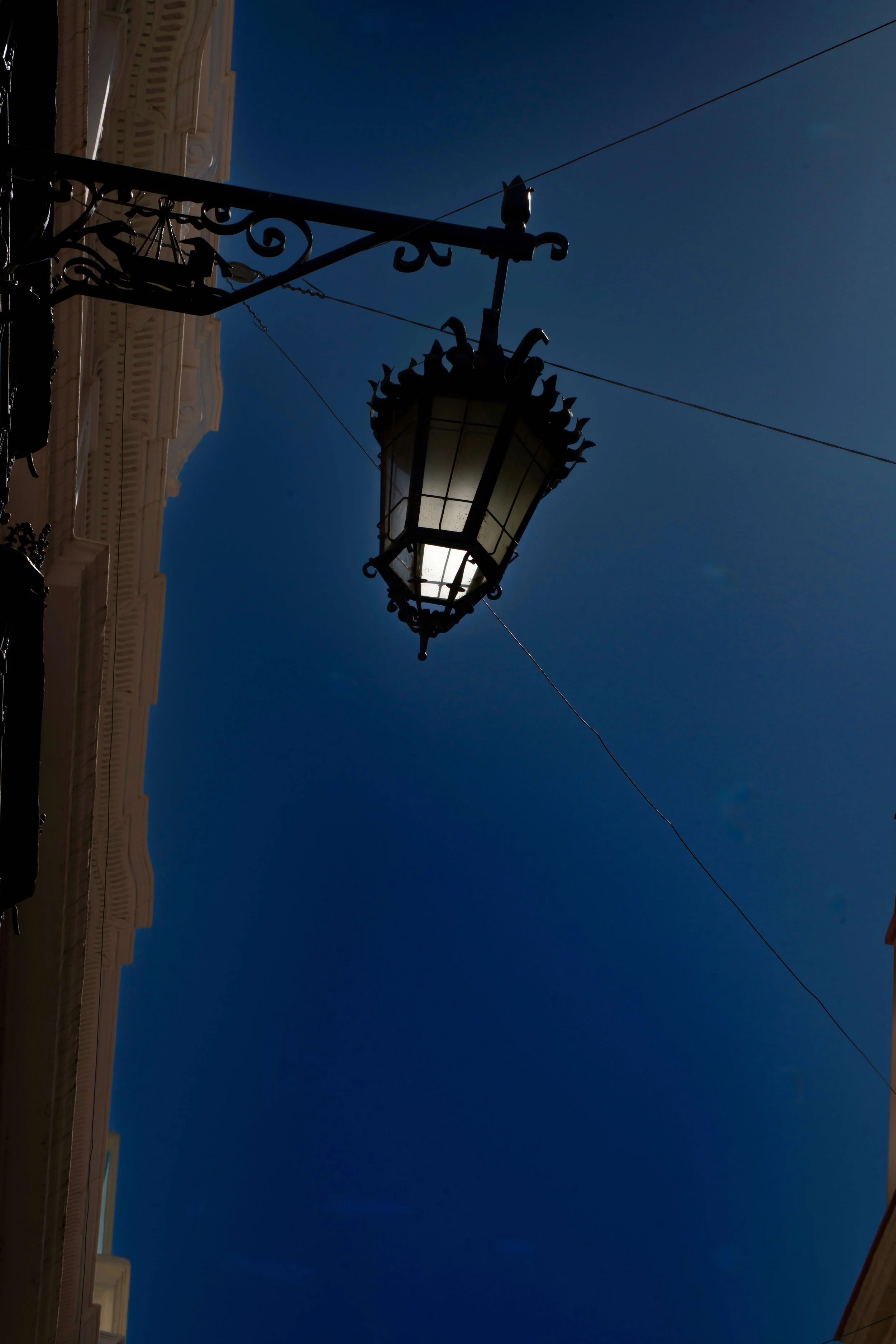 DSC02650.jpg