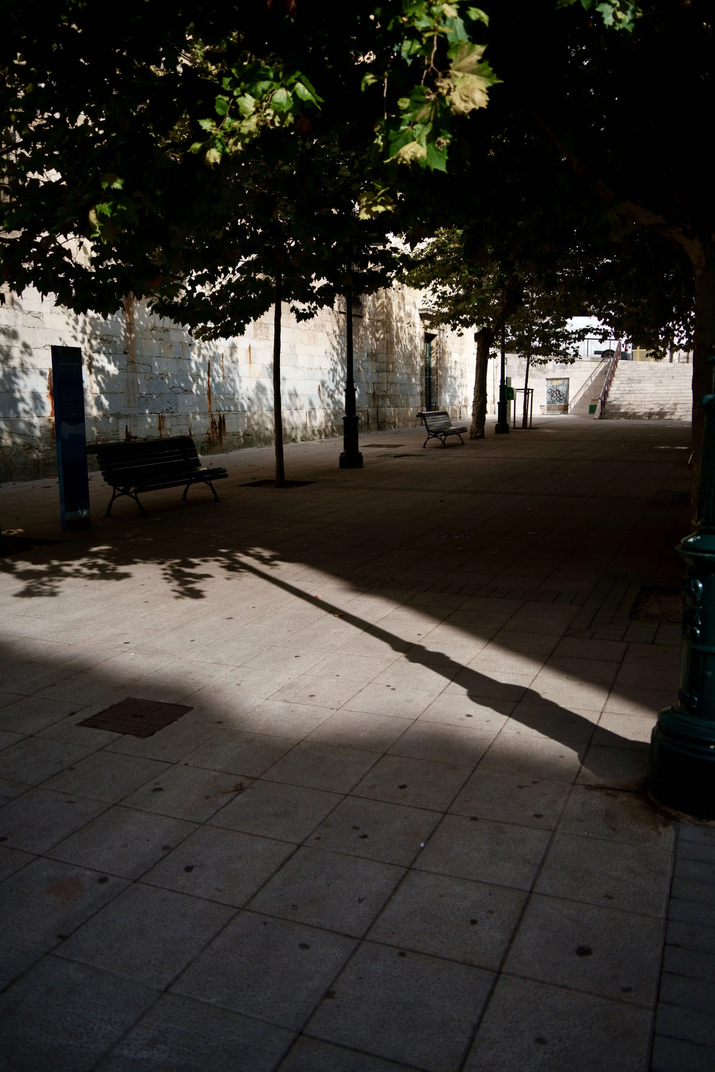 DSC01394.jpg