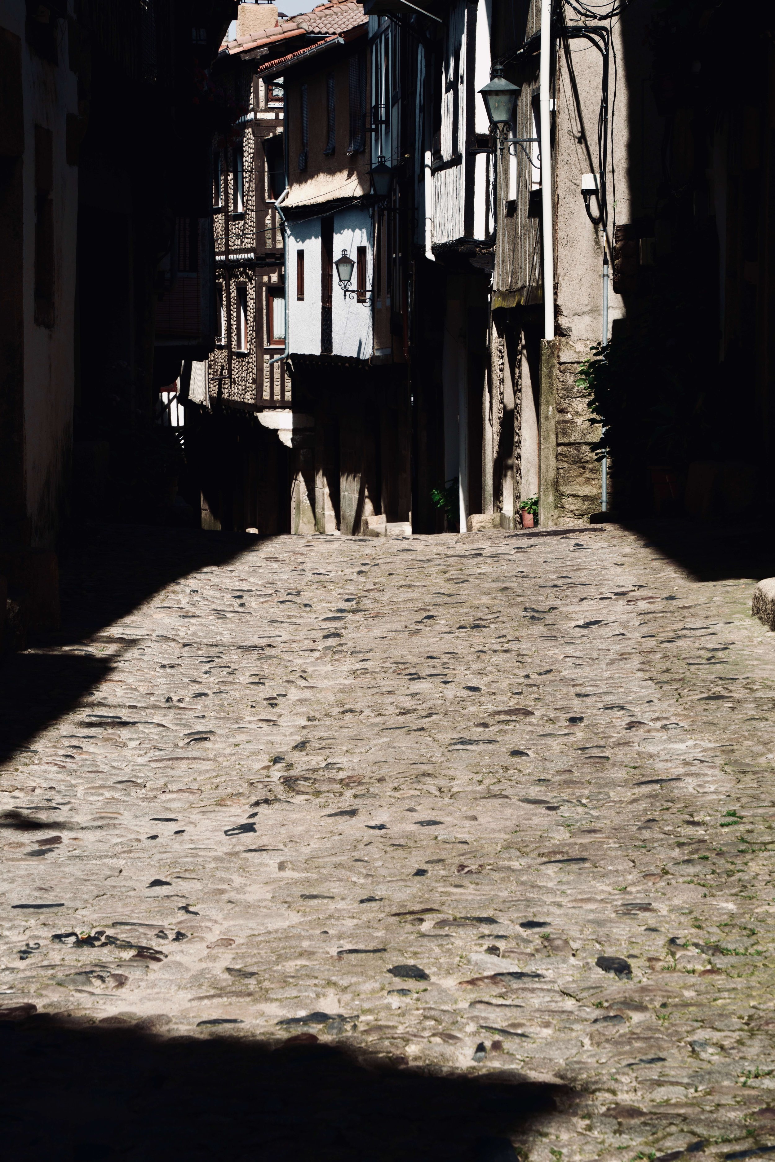 DSC06974.jpg