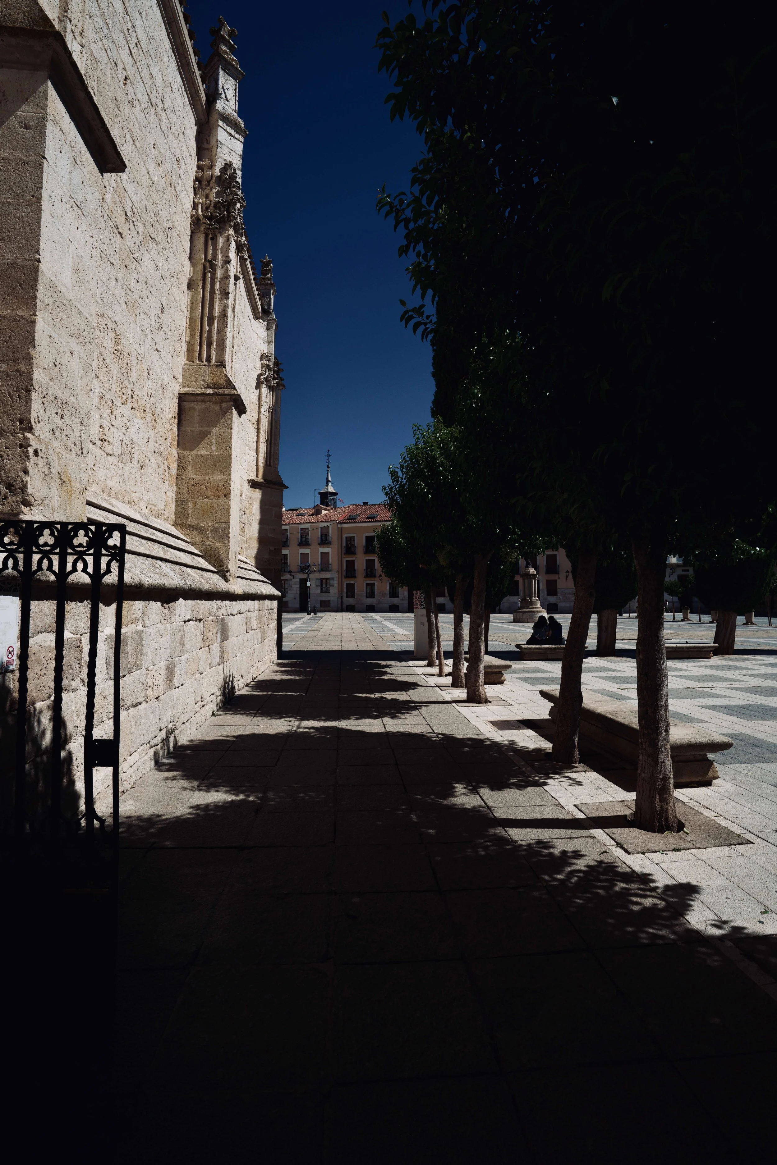 DSC07604.jpg