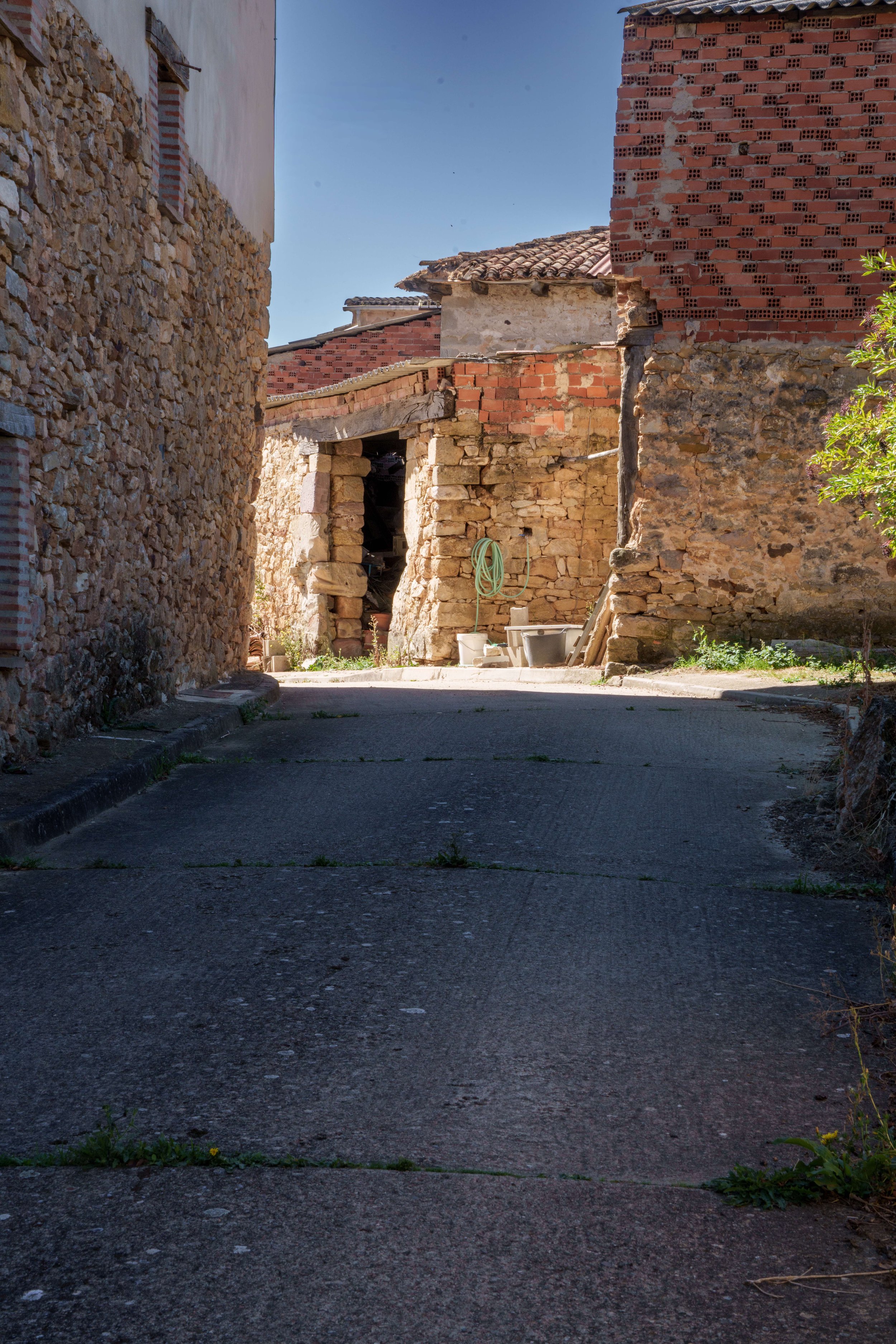 DSC07967.jpg