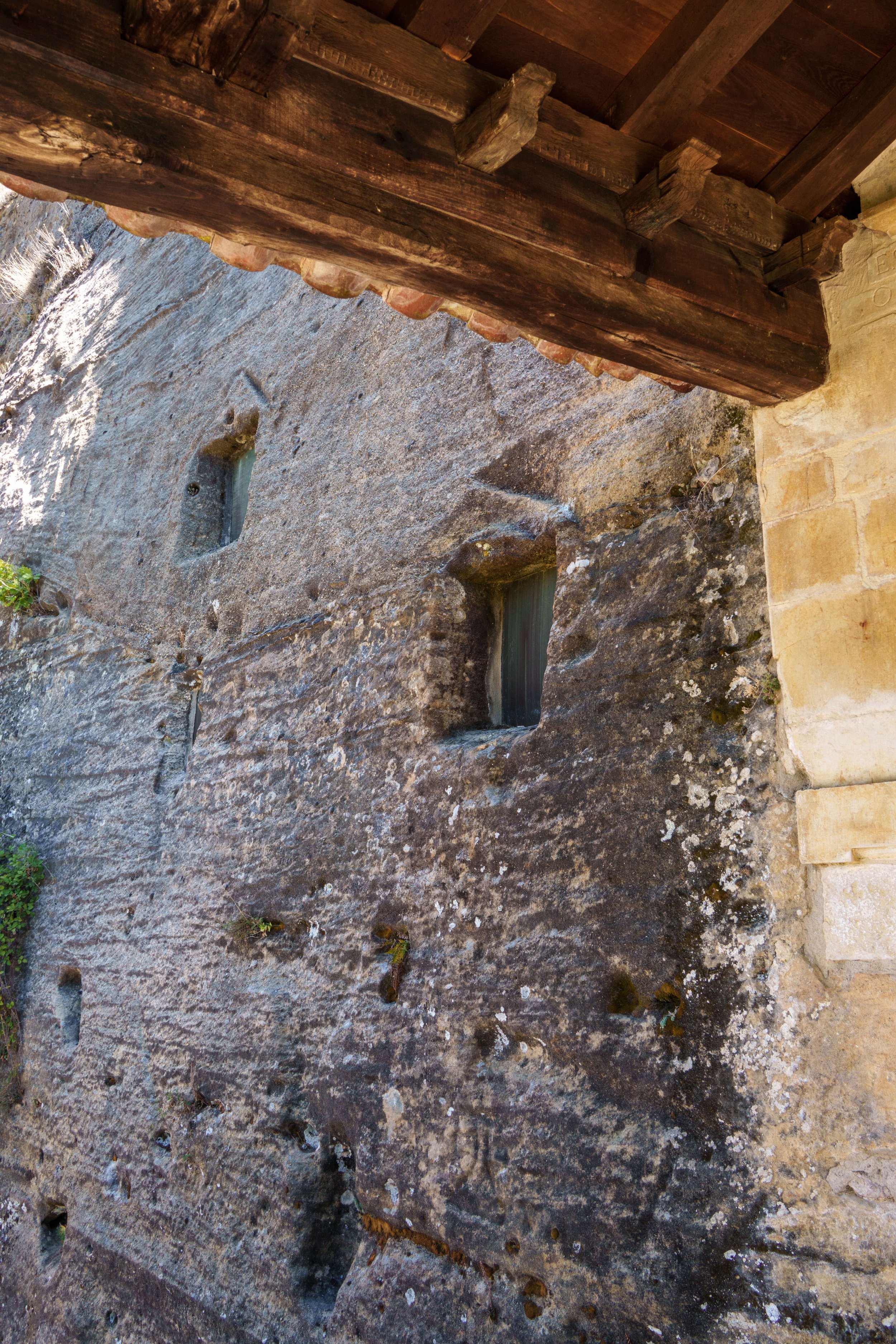 DSC07938.jpg