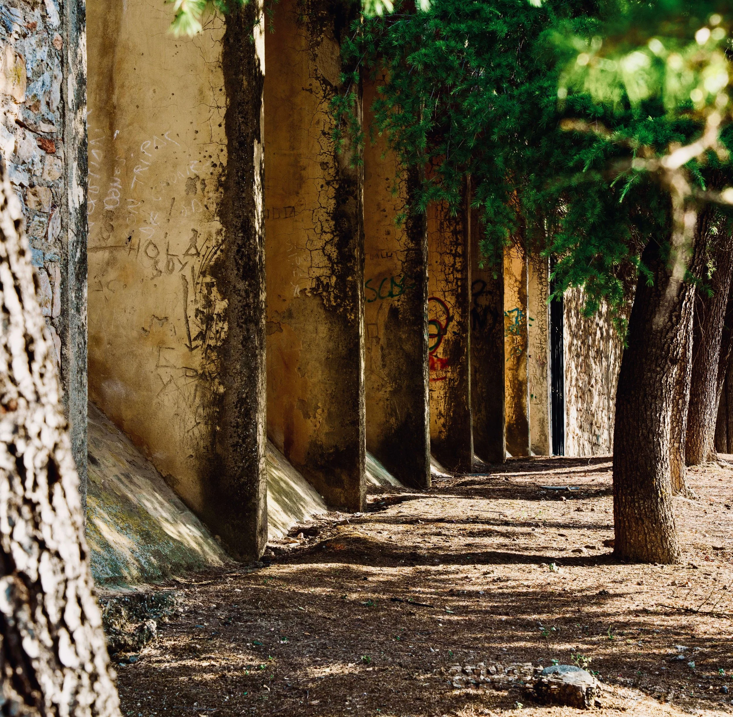 Muralla Urbana