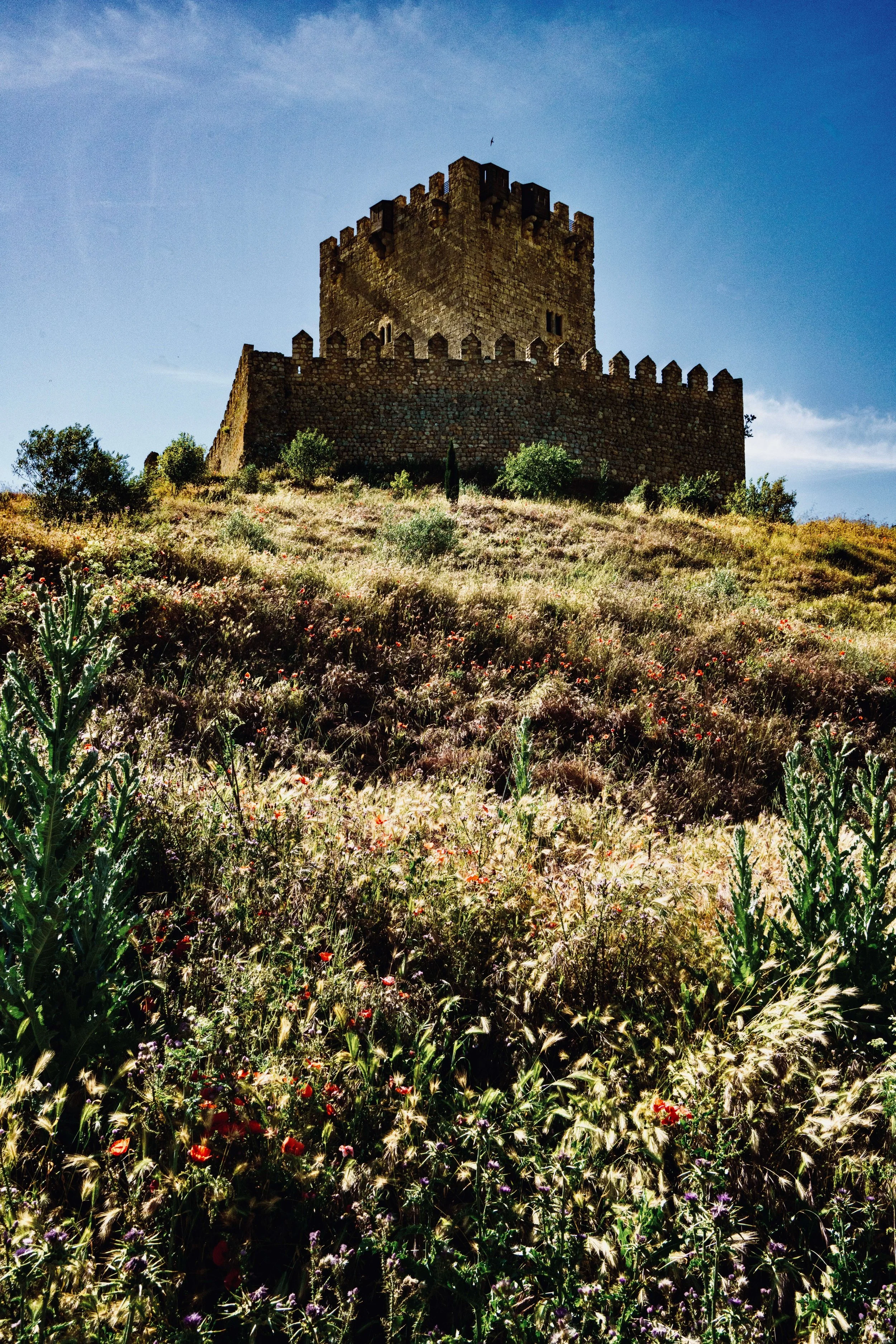 Castillo de Tiedra