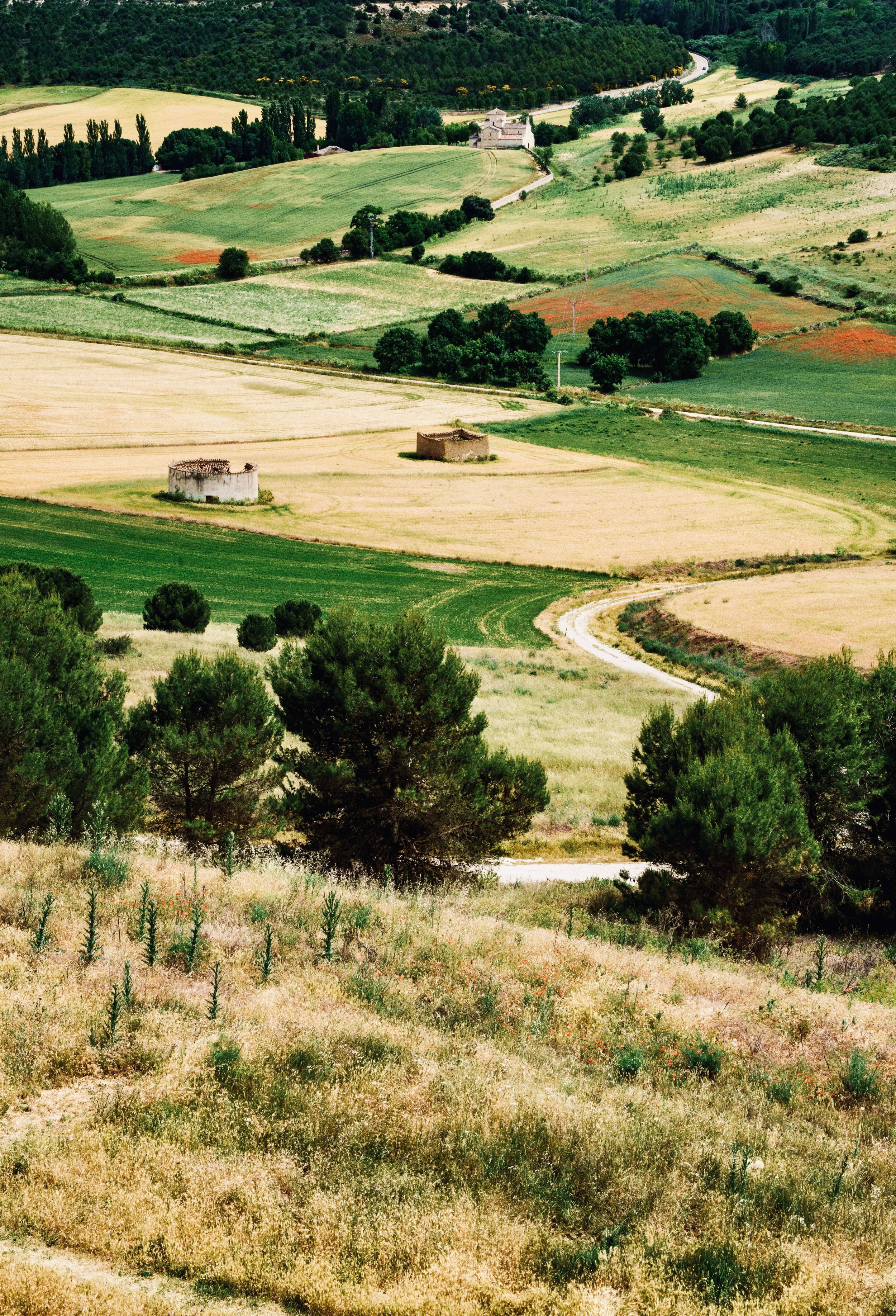Los Palomares