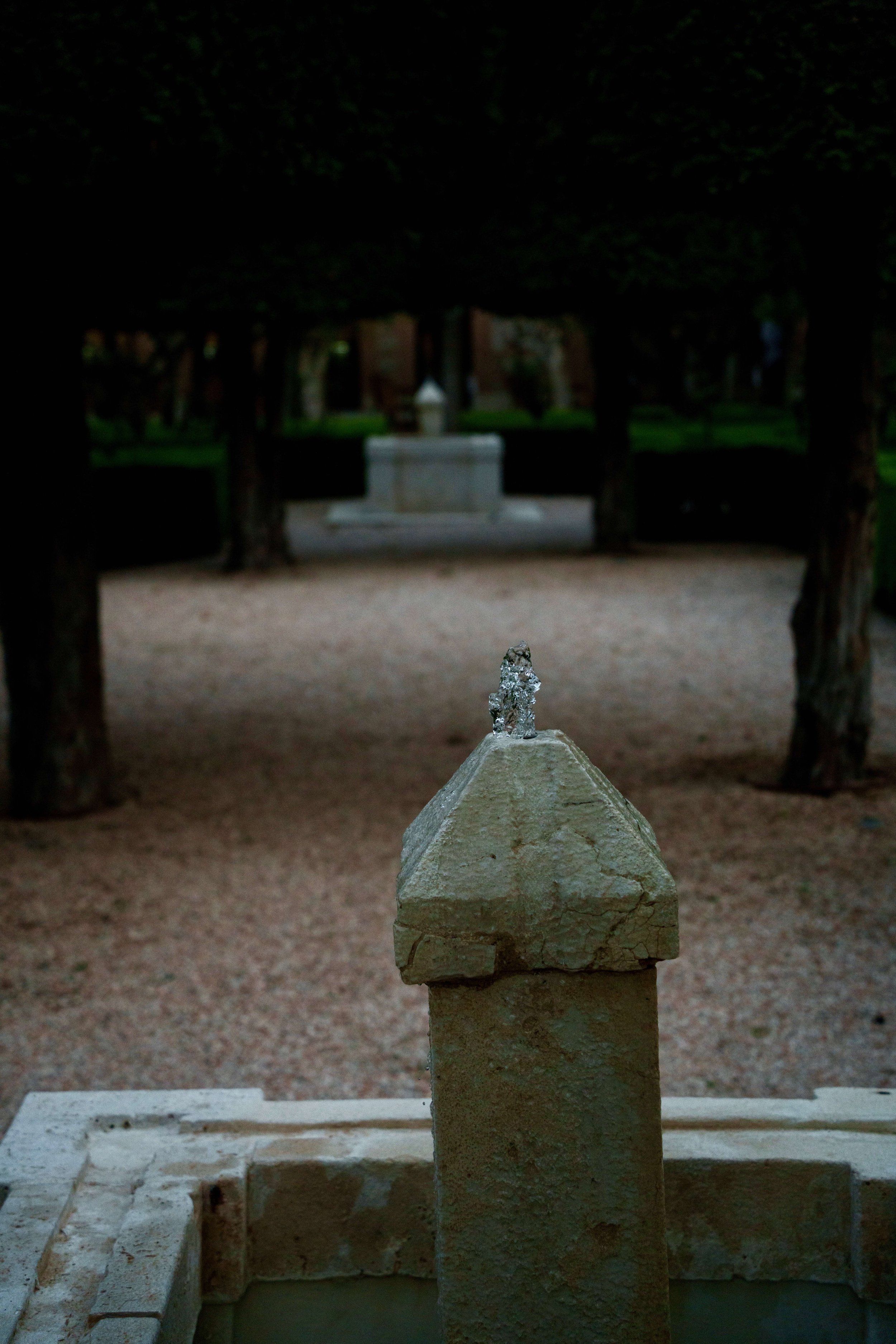 DSC05680.jpg