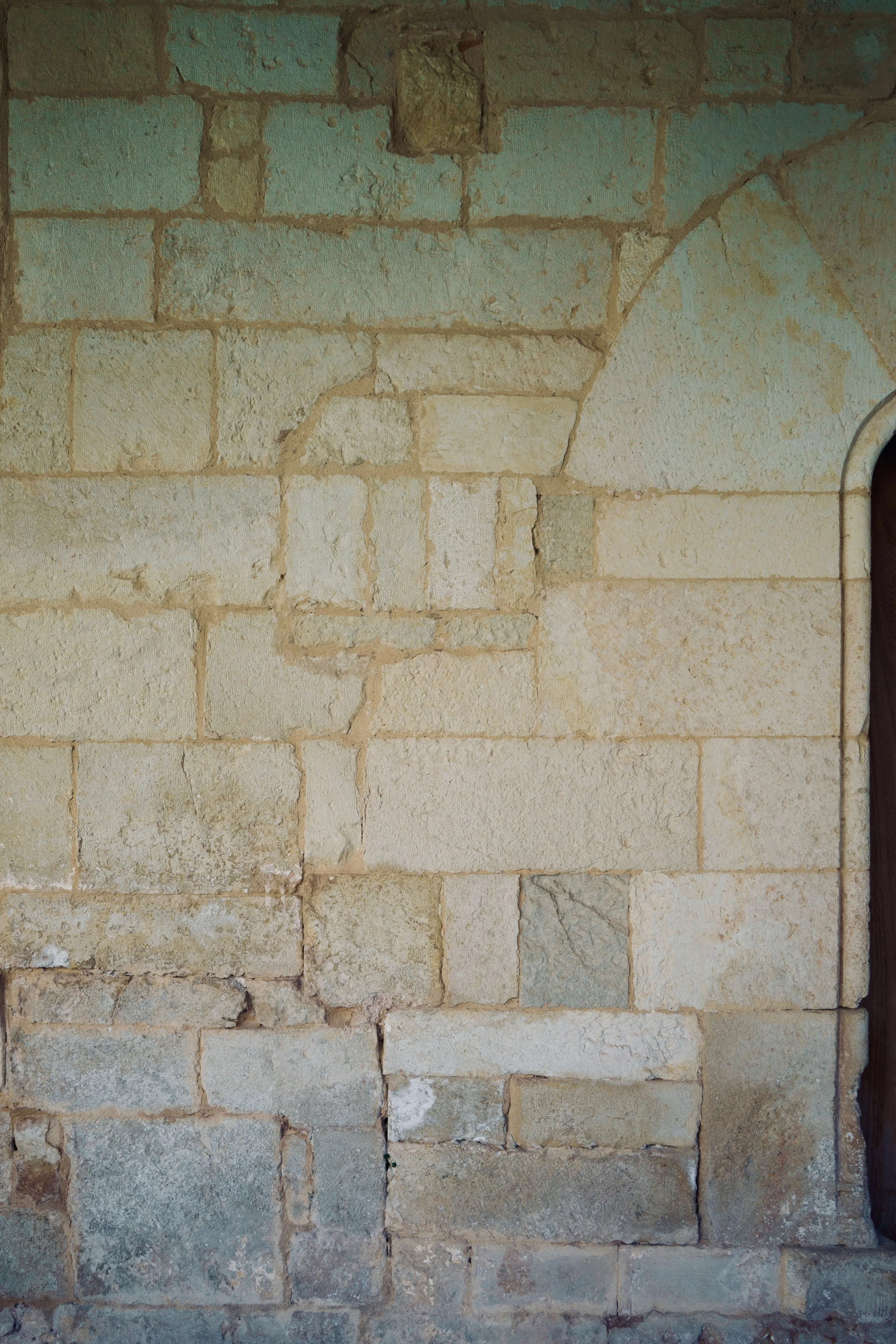 DSC08128.jpg