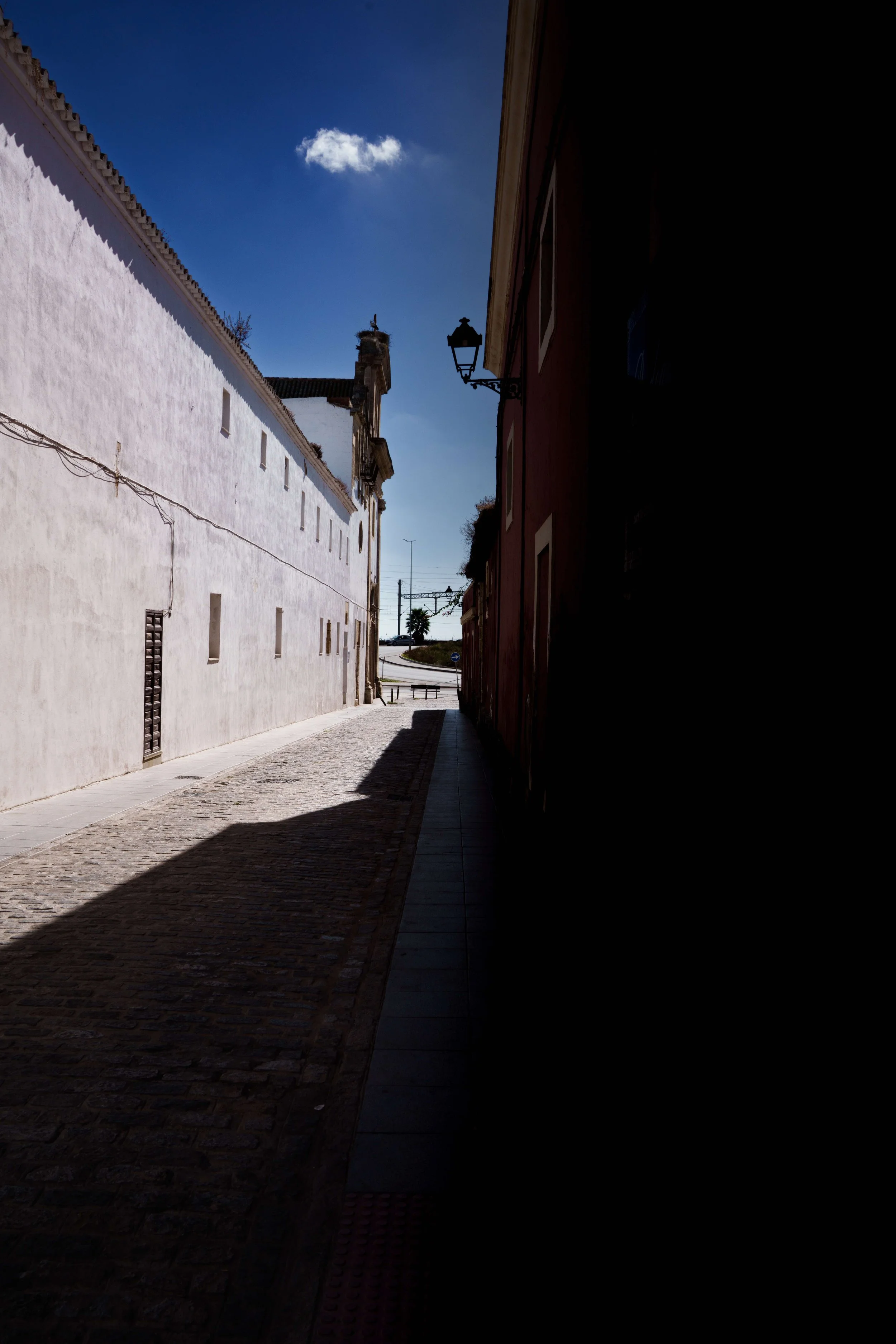 DSC02862.jpg