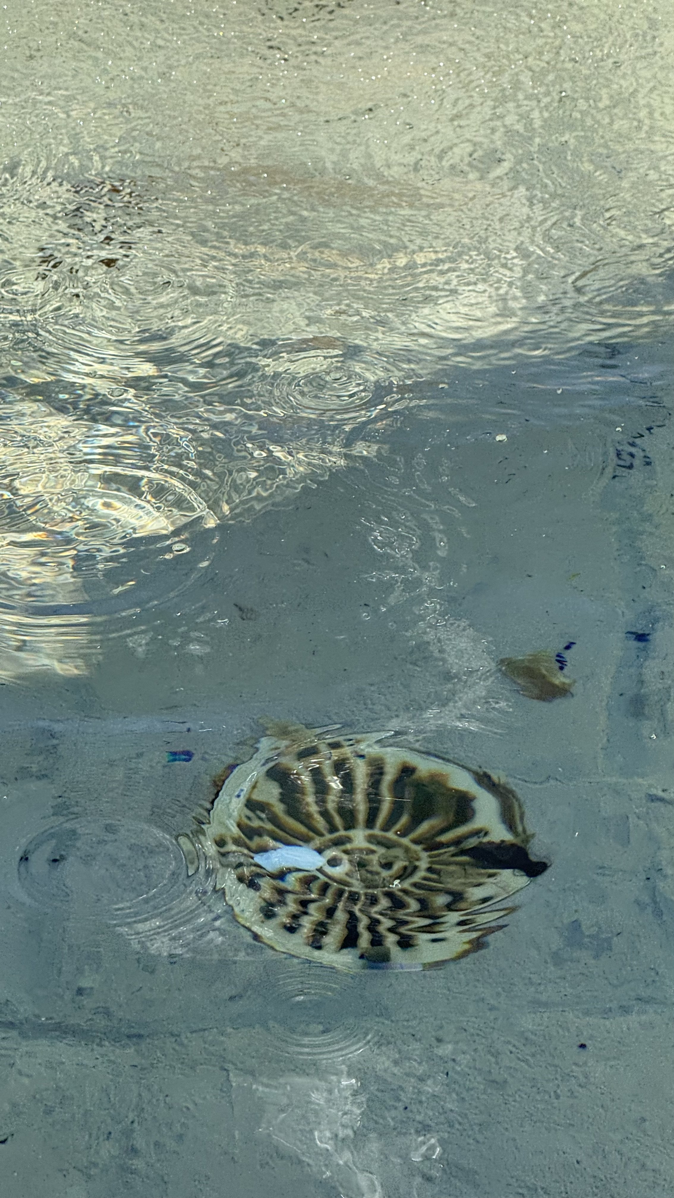 IMG_0870.jpeg