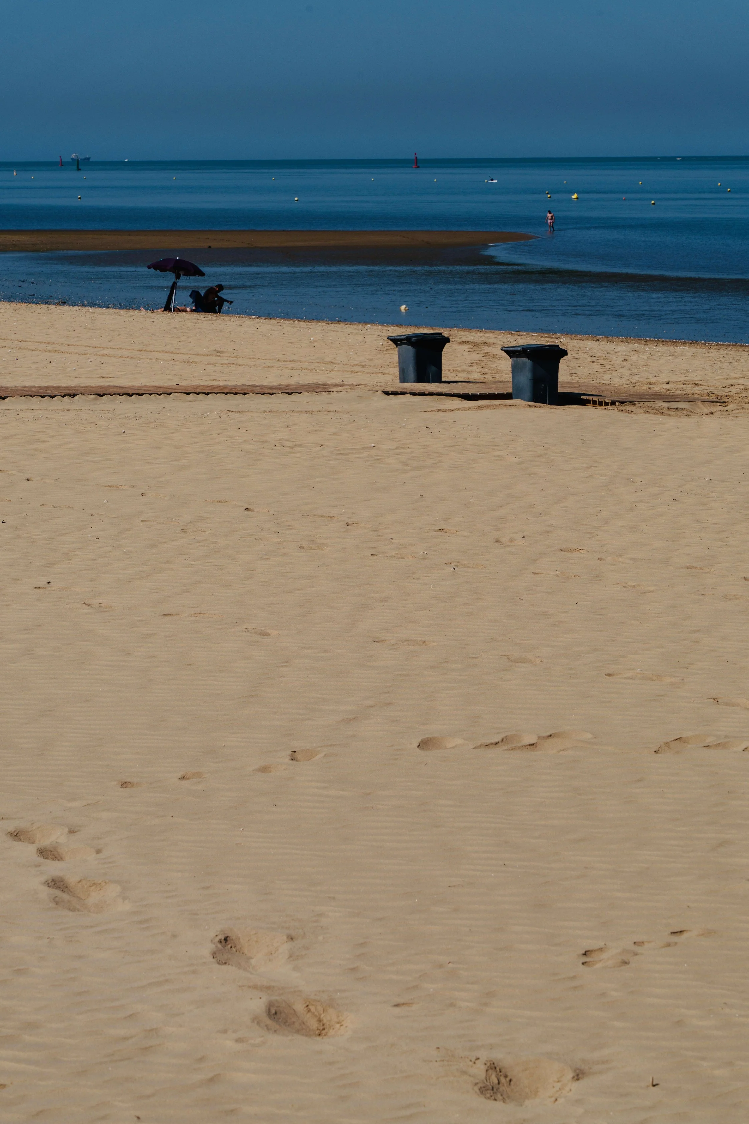 DSC02464.jpg