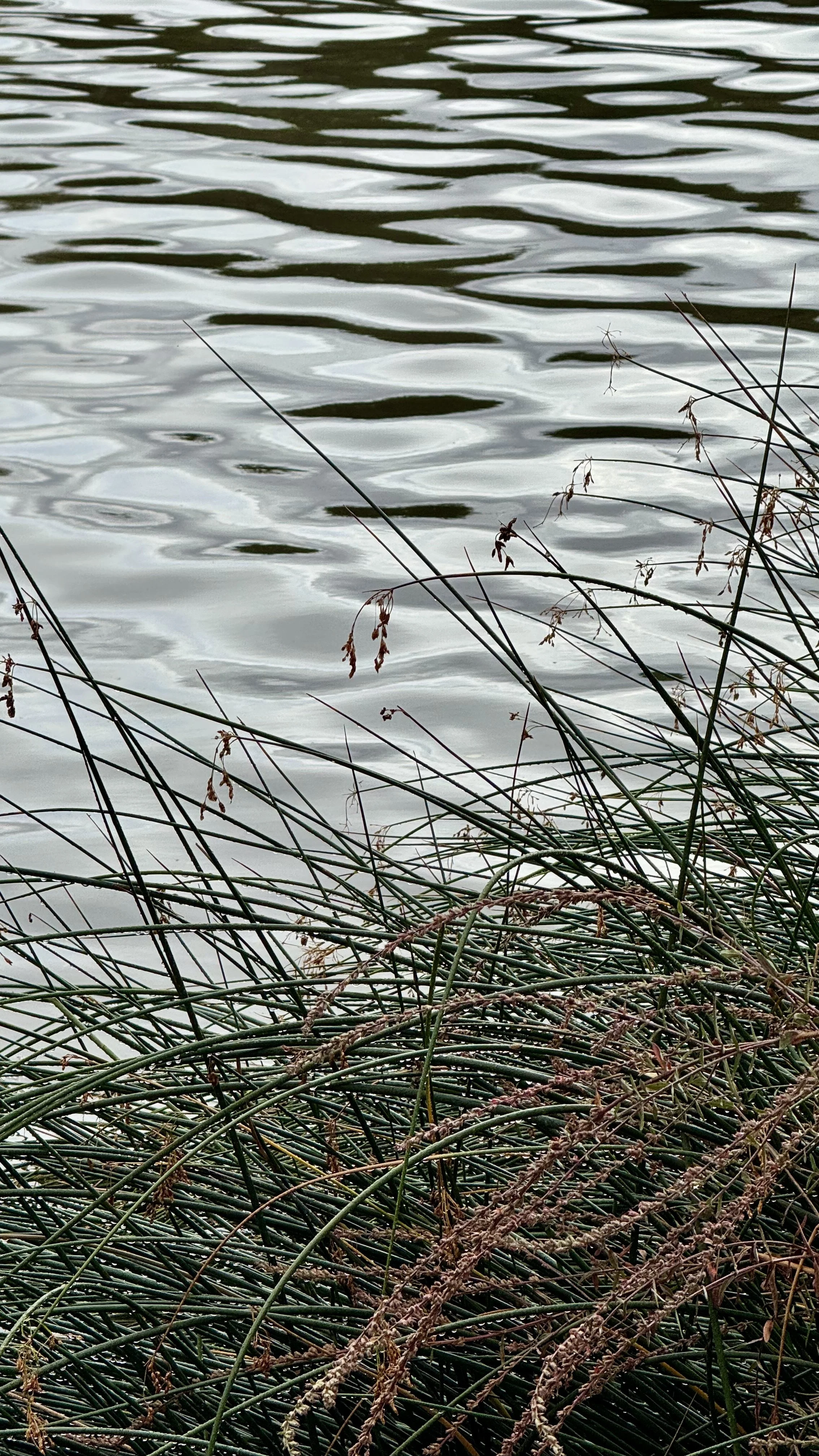 Rio Duero