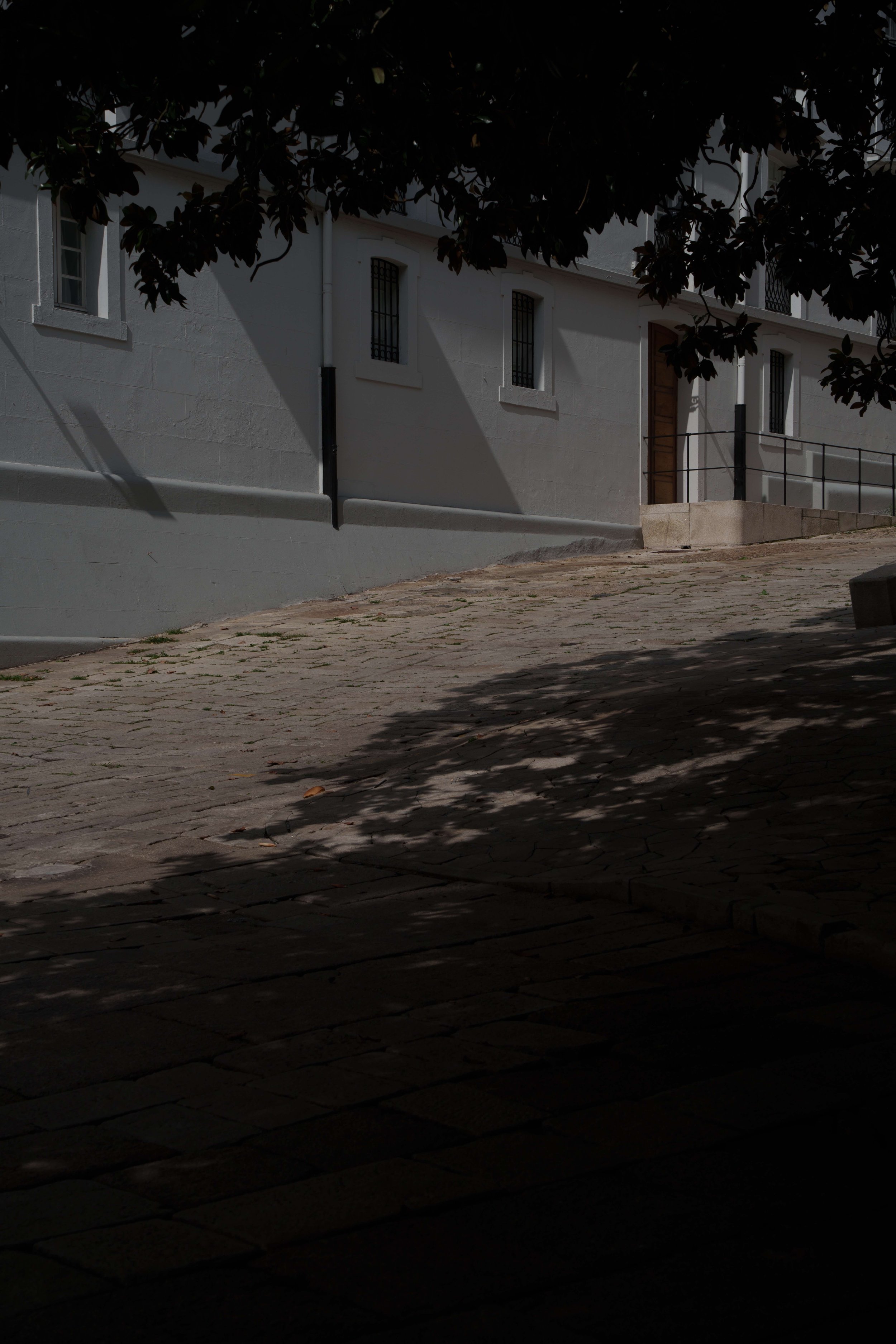 DSC01680.jpg