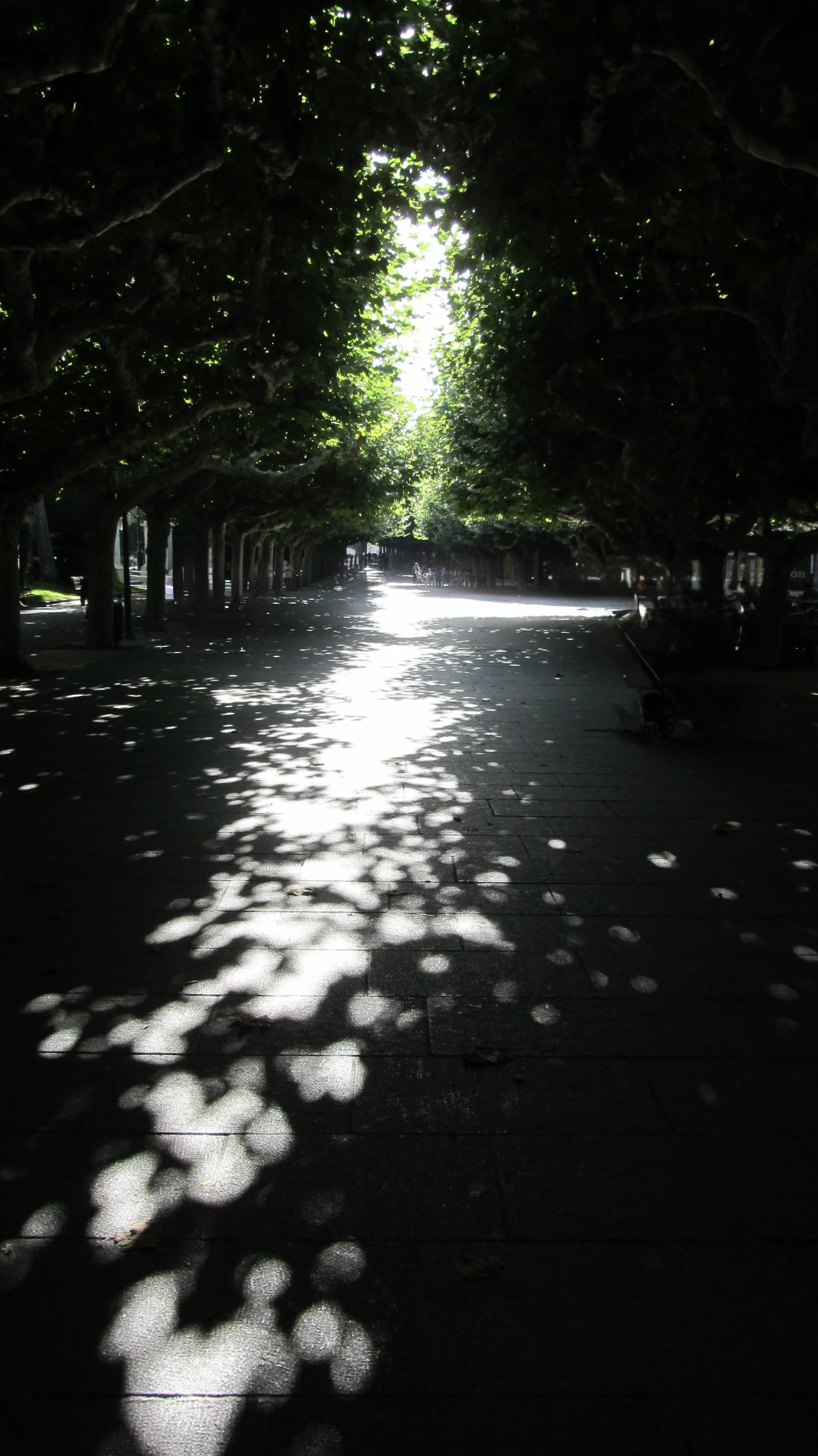 IMG_2254.jpeg