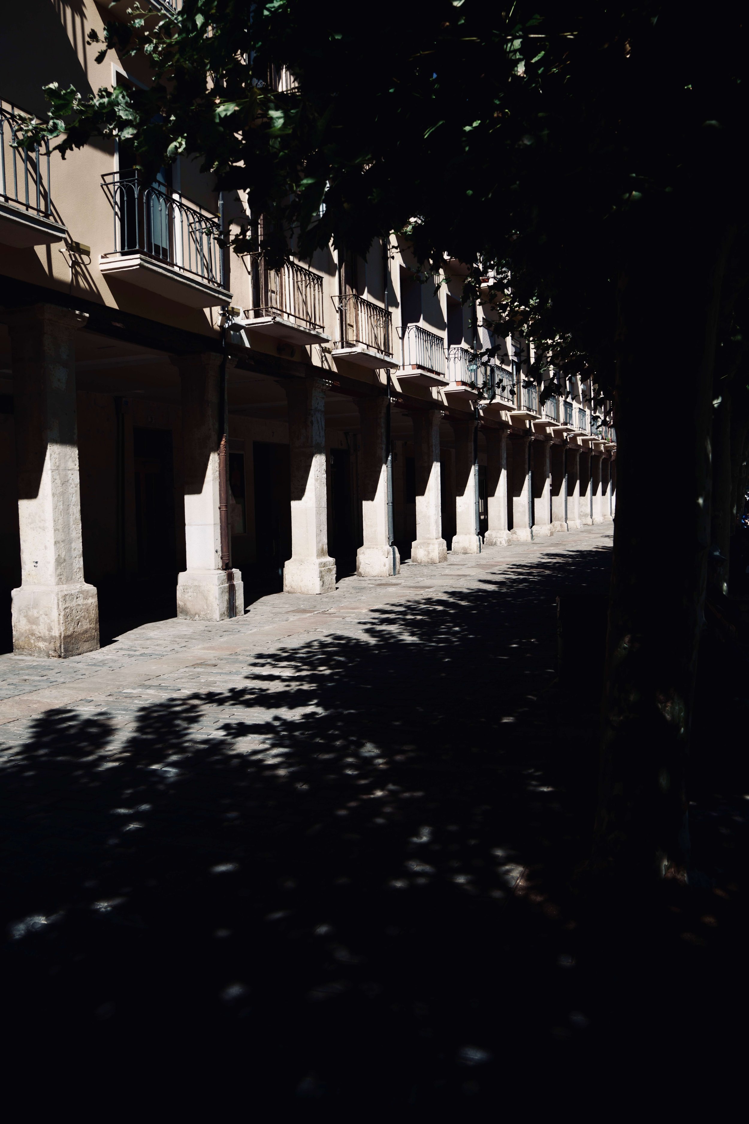 DSC07546.jpg