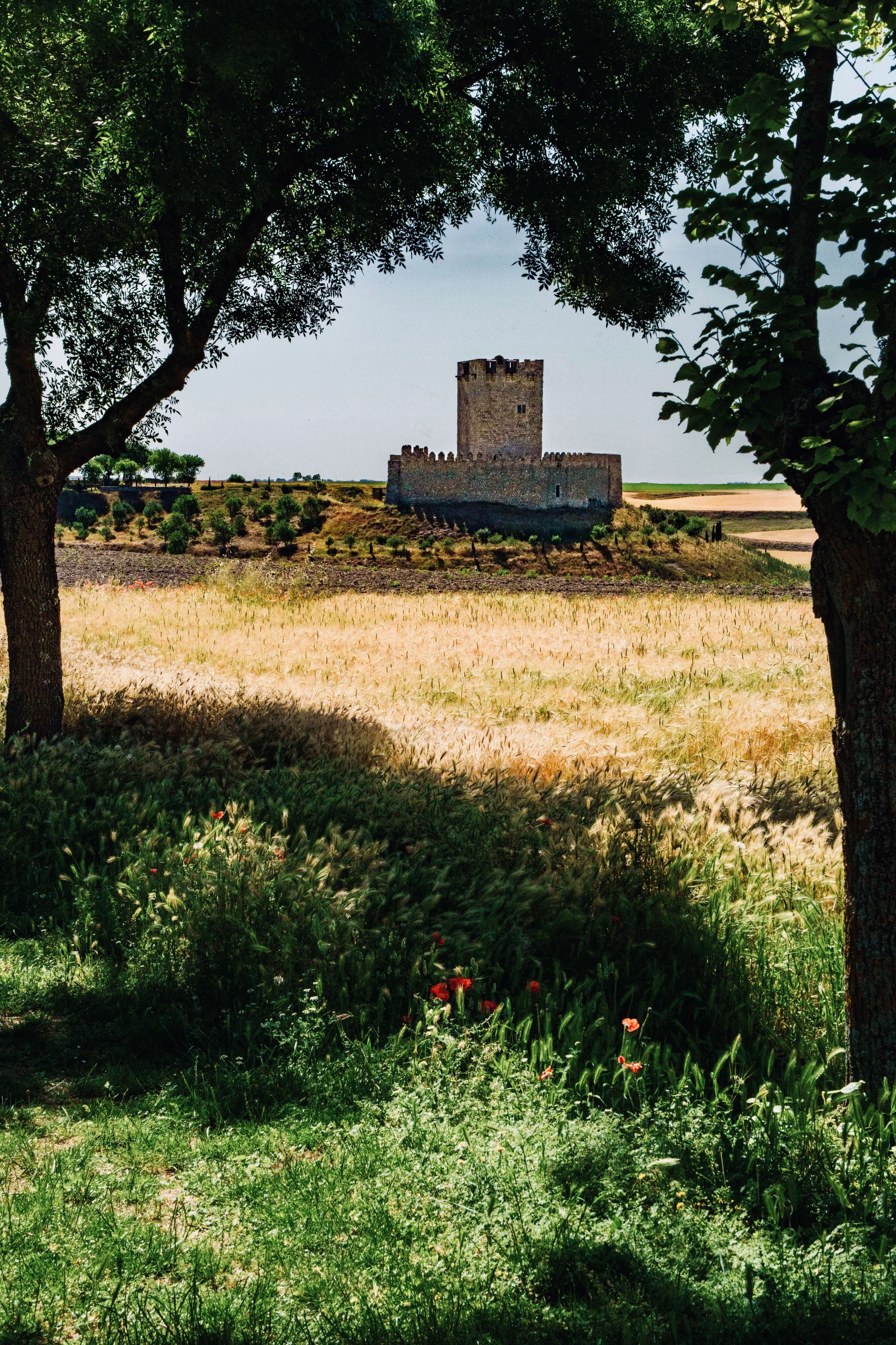 Castillo de Tiedra