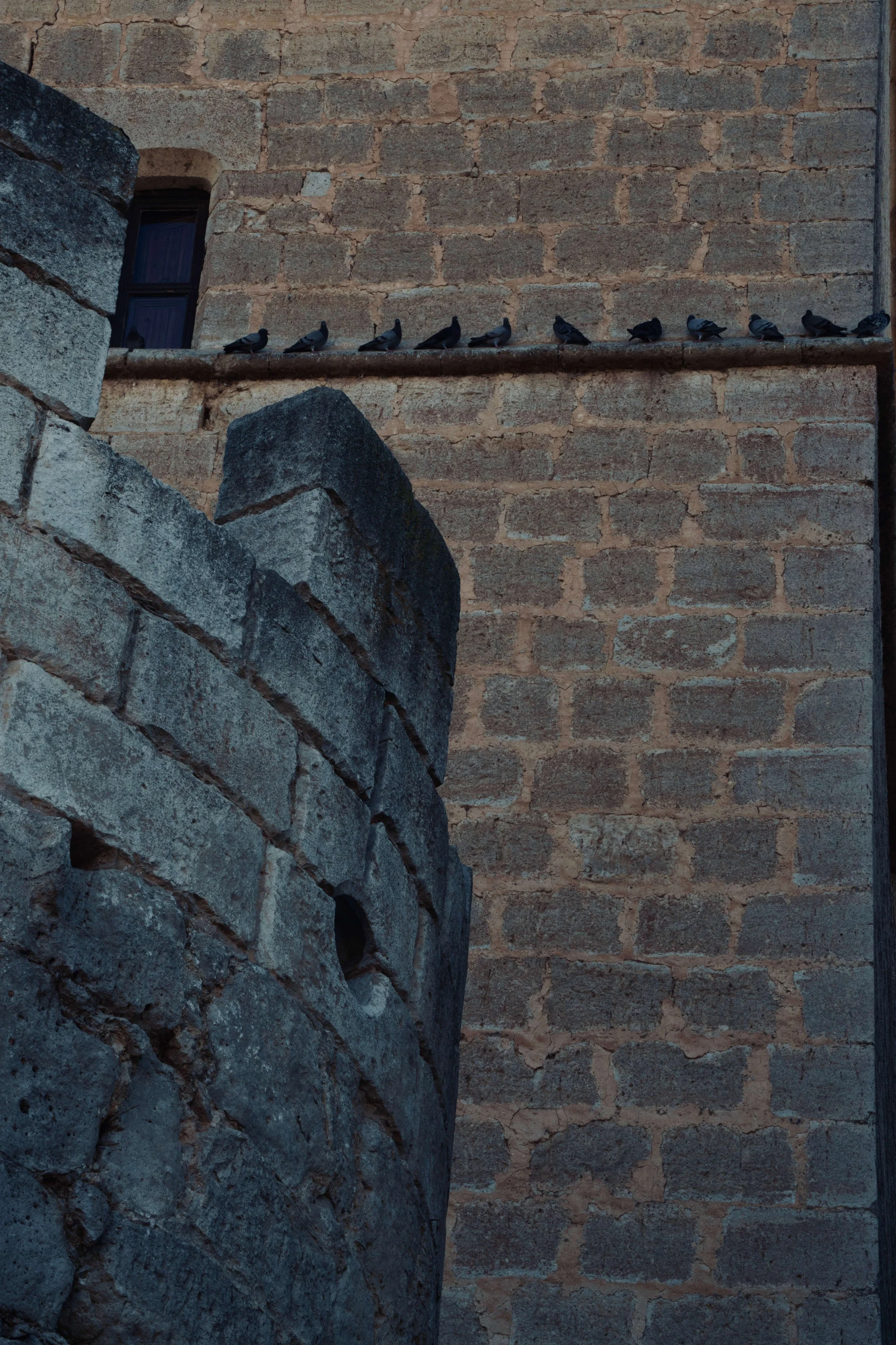 DSC07809.jpg