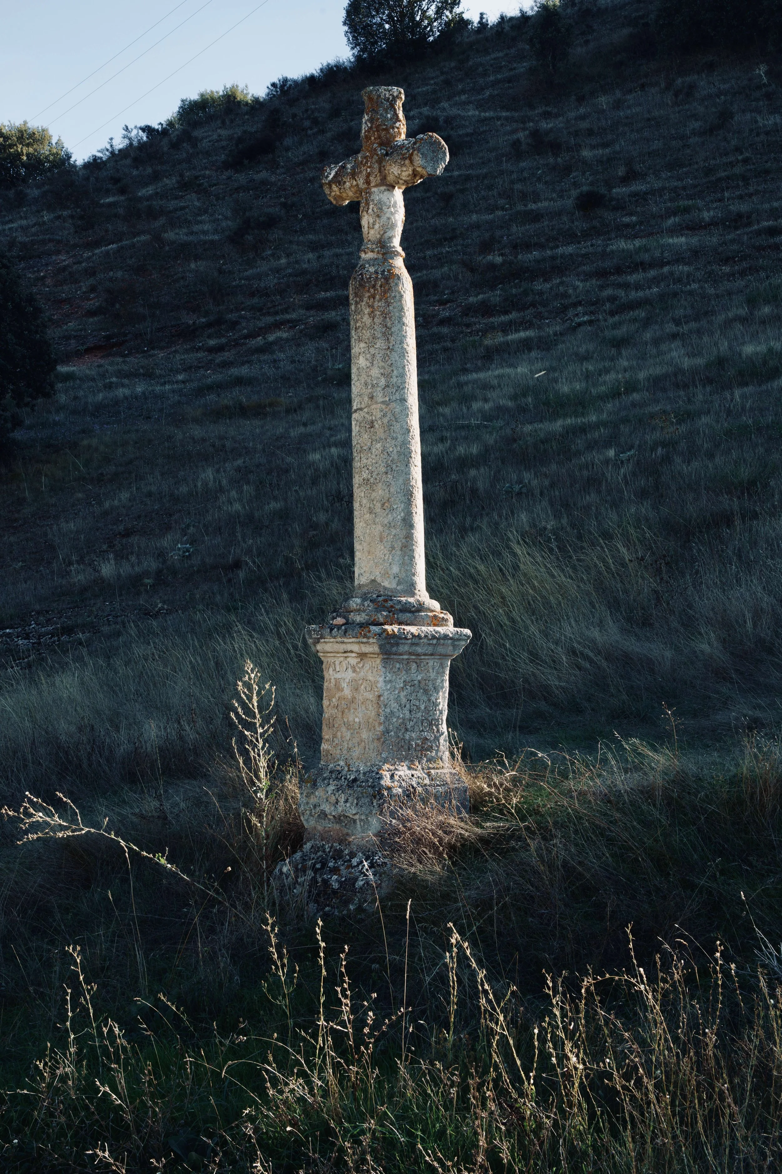 DSC08150.jpg