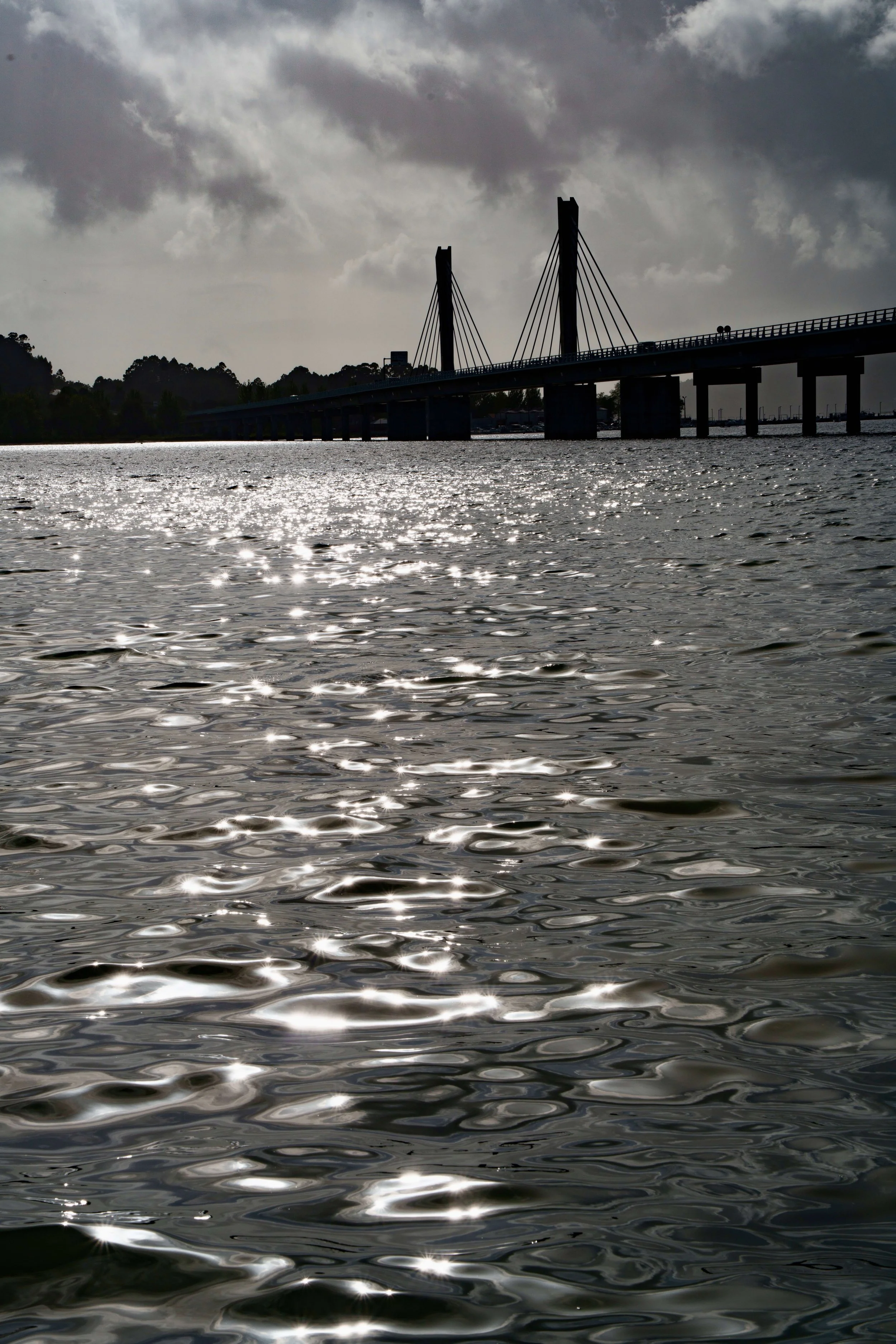 DSC01518.jpg
