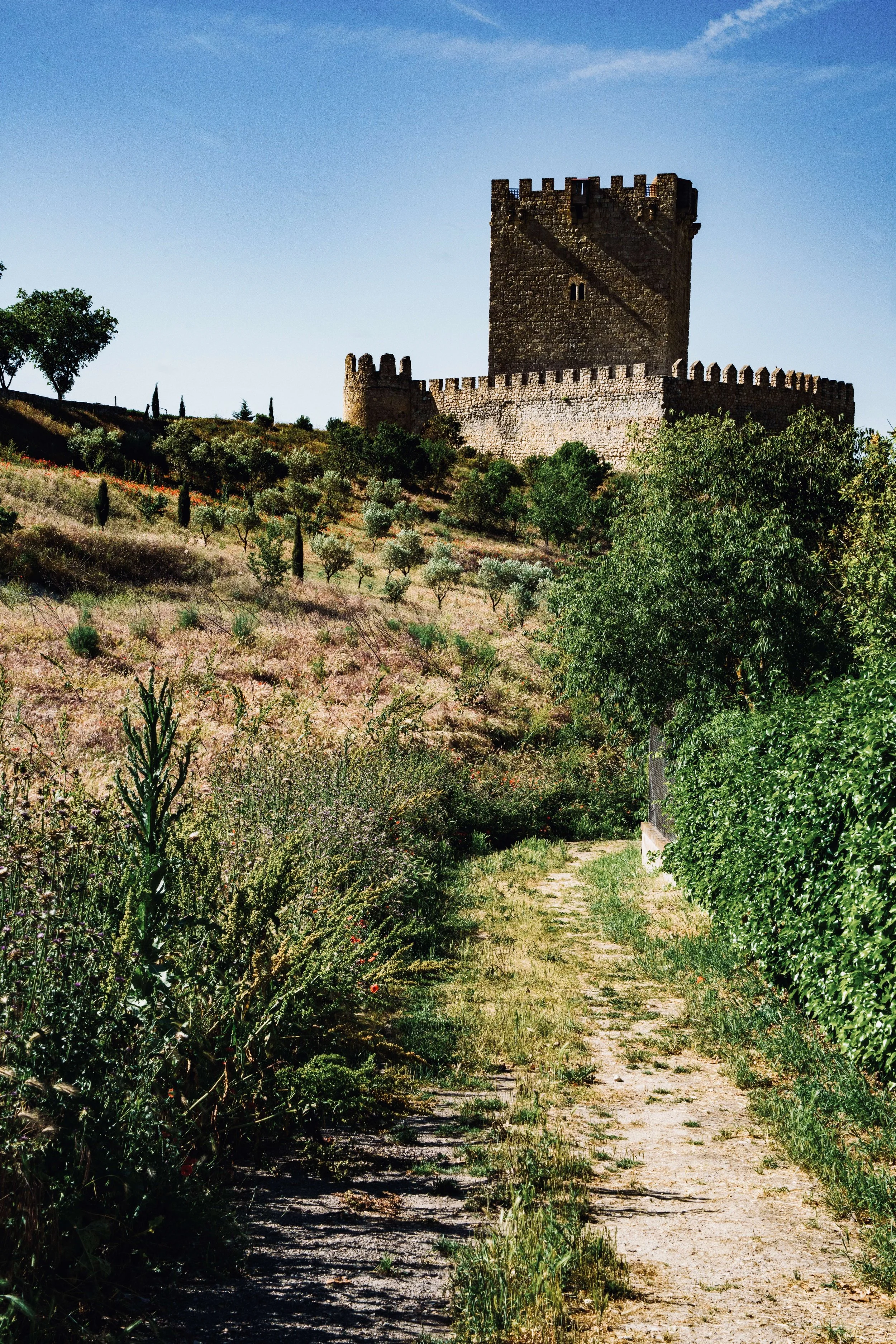 Castillo de Tiedra