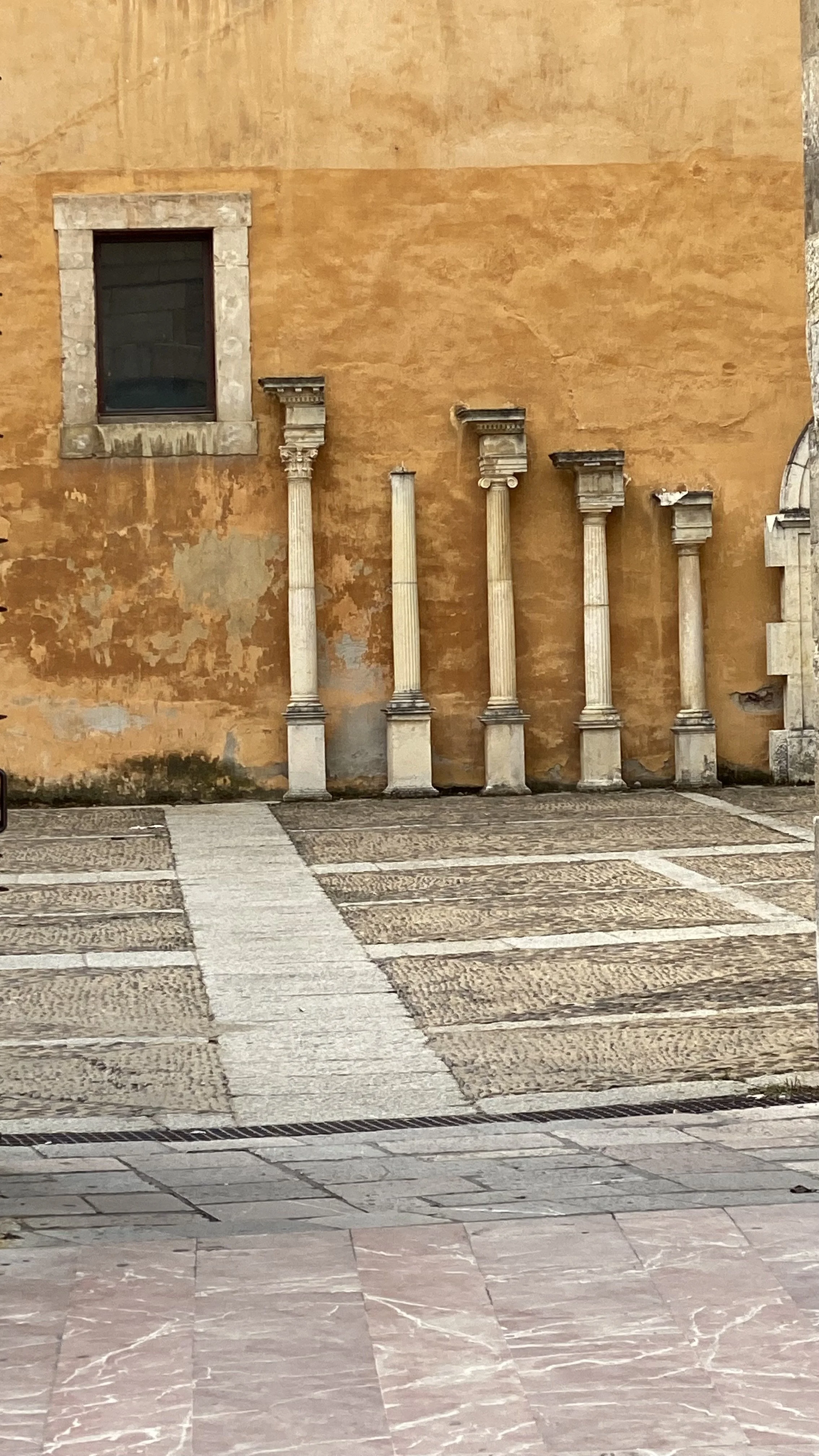IMG_6977.jpeg