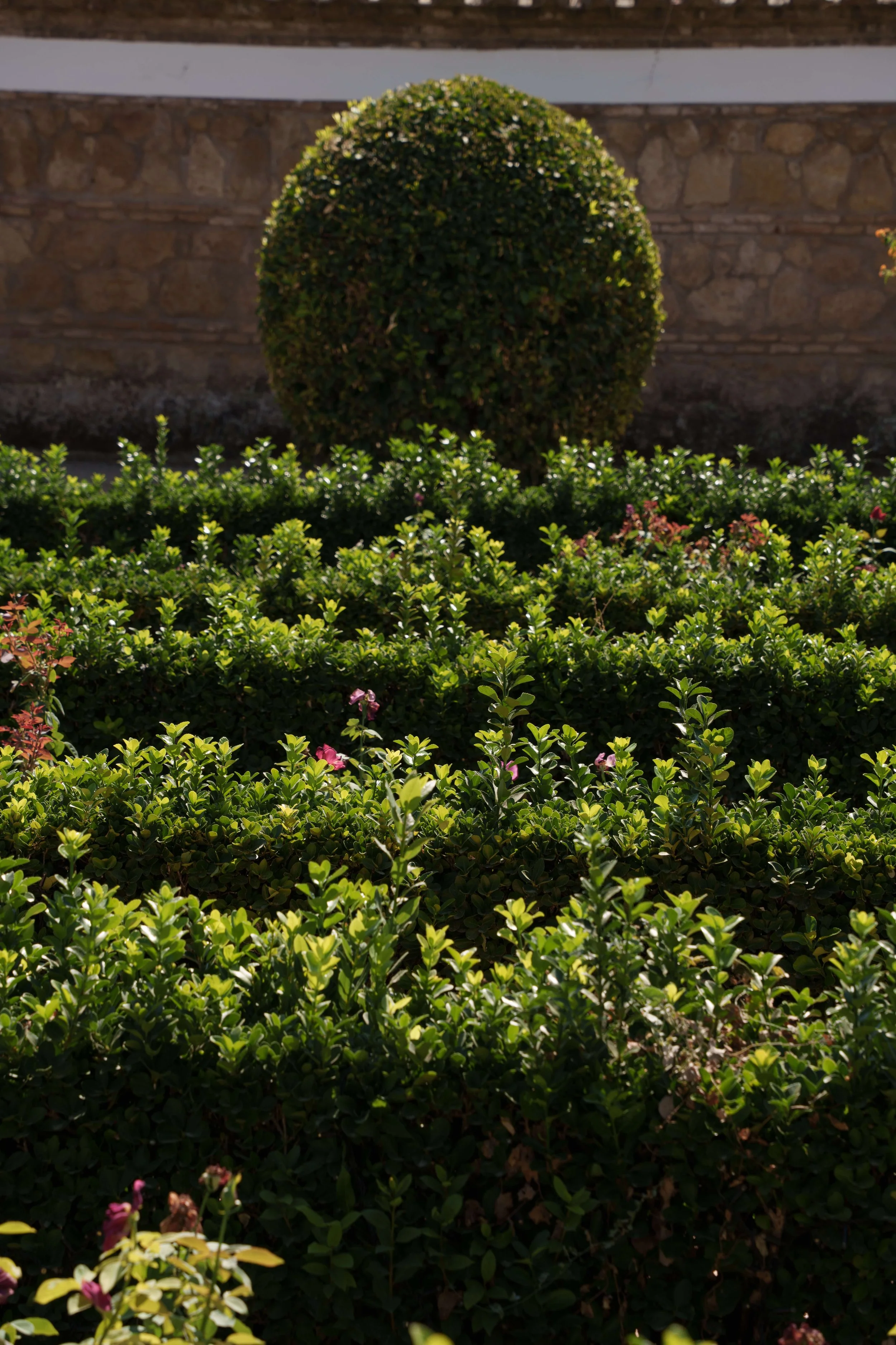 Jardines del Alcazar de los Reyes Cristianos