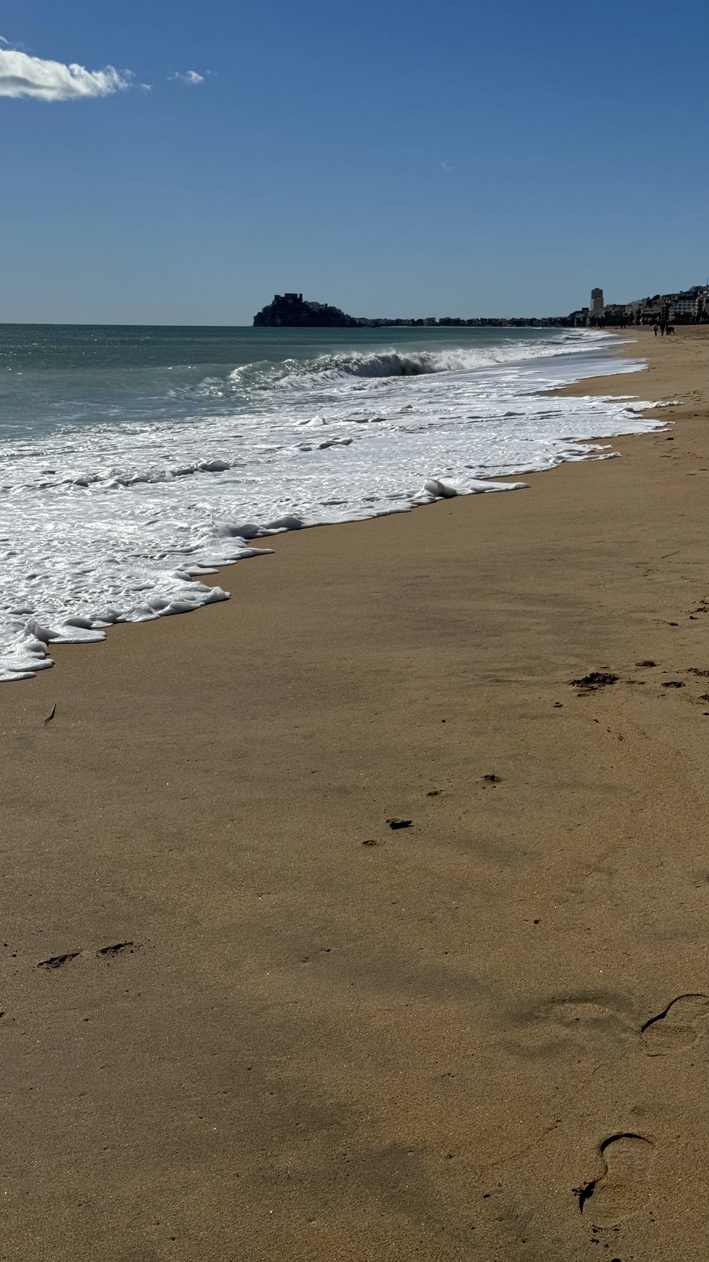 IMG_0593.jpeg