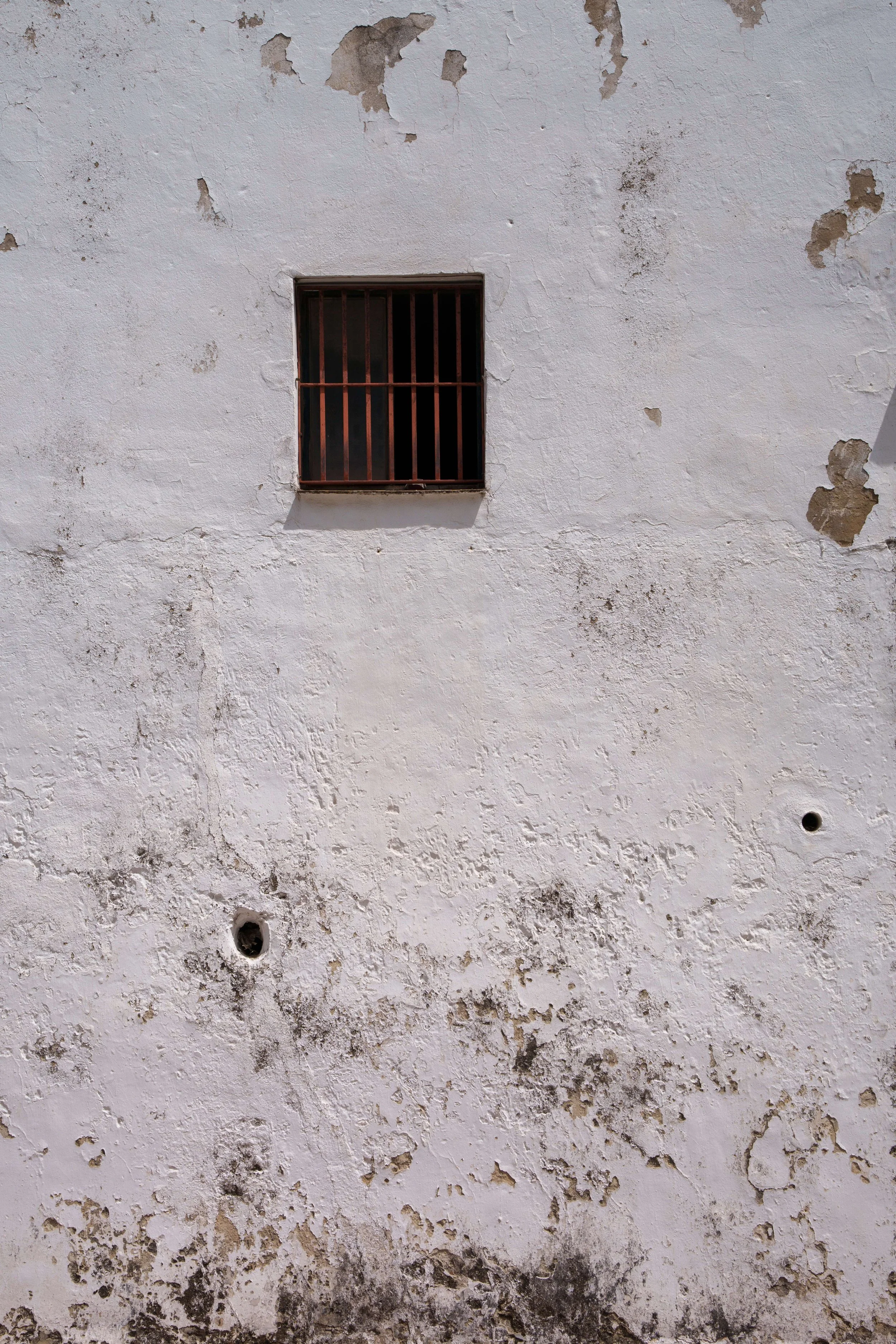 DSC06258.jpg