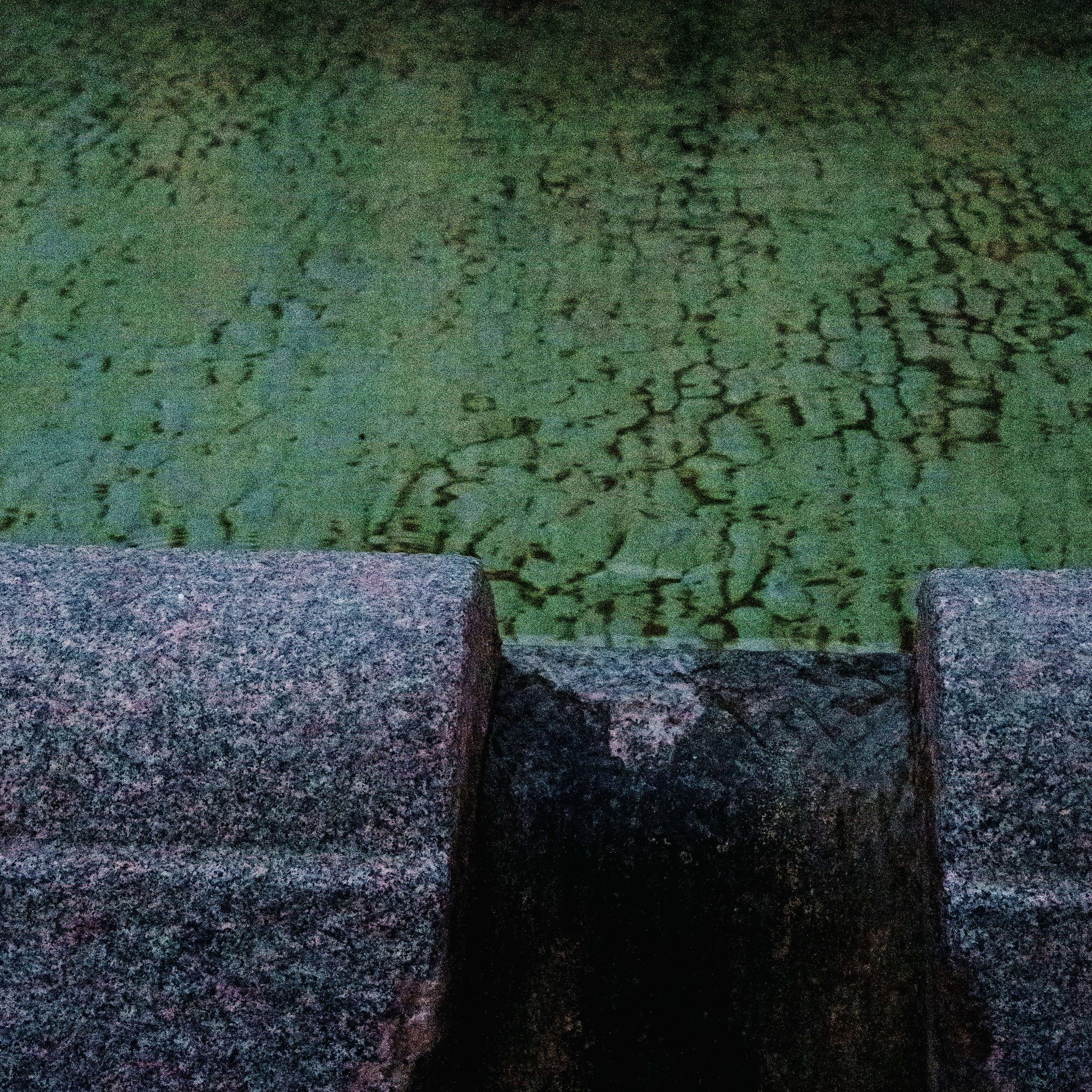 DSC05610.jpg