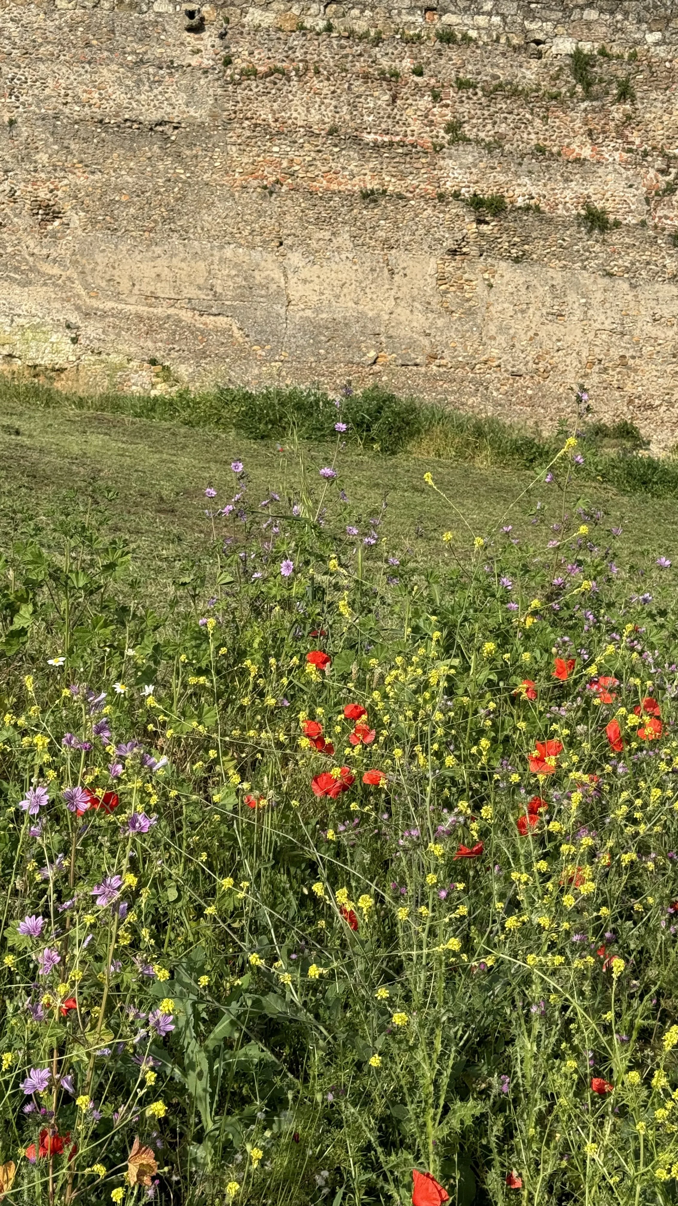 IMG_1607.jpeg