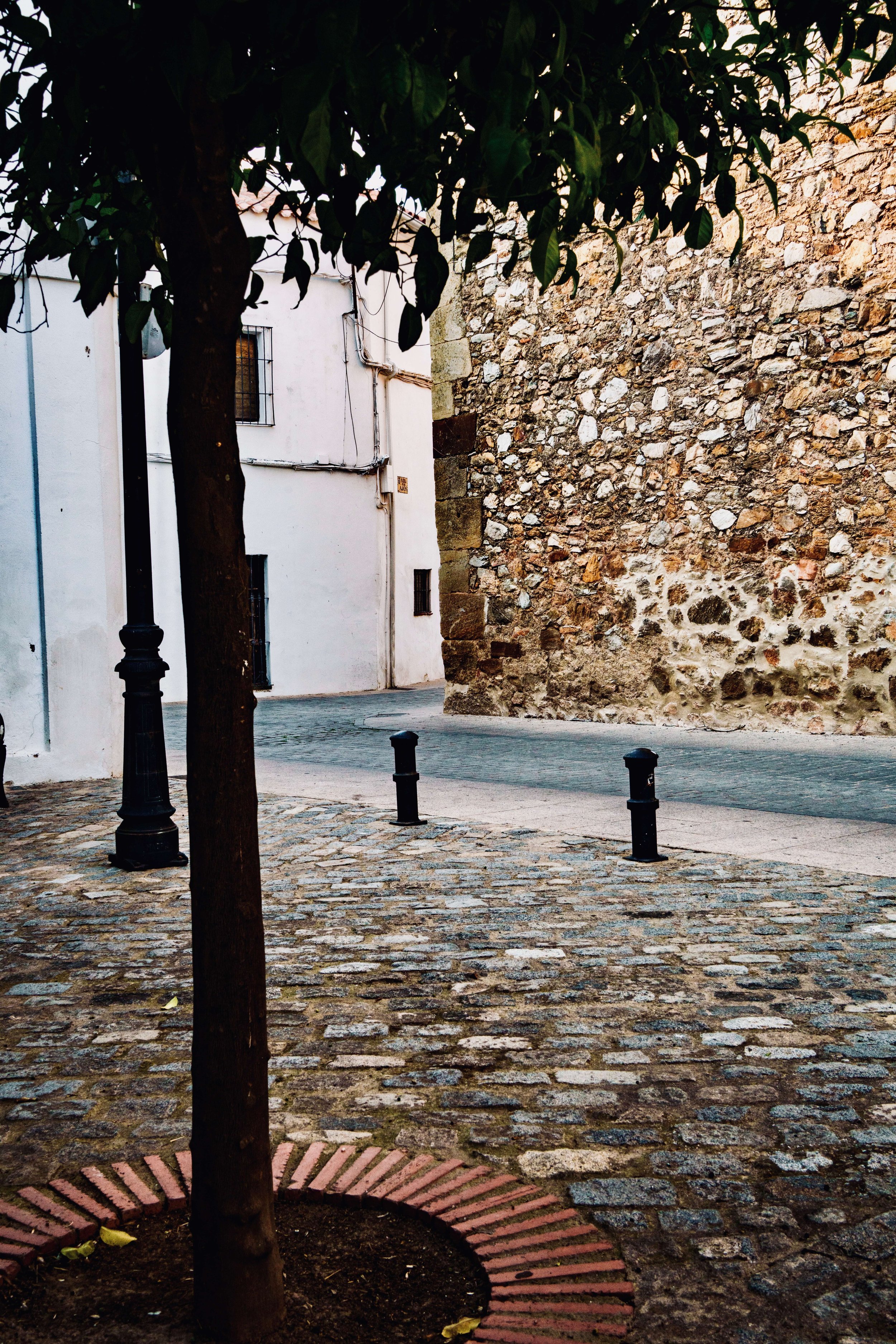 Cobblestone sidewalk with a small tree in a round brick border, a black street lamp, and a stone wall with a white building in the background.