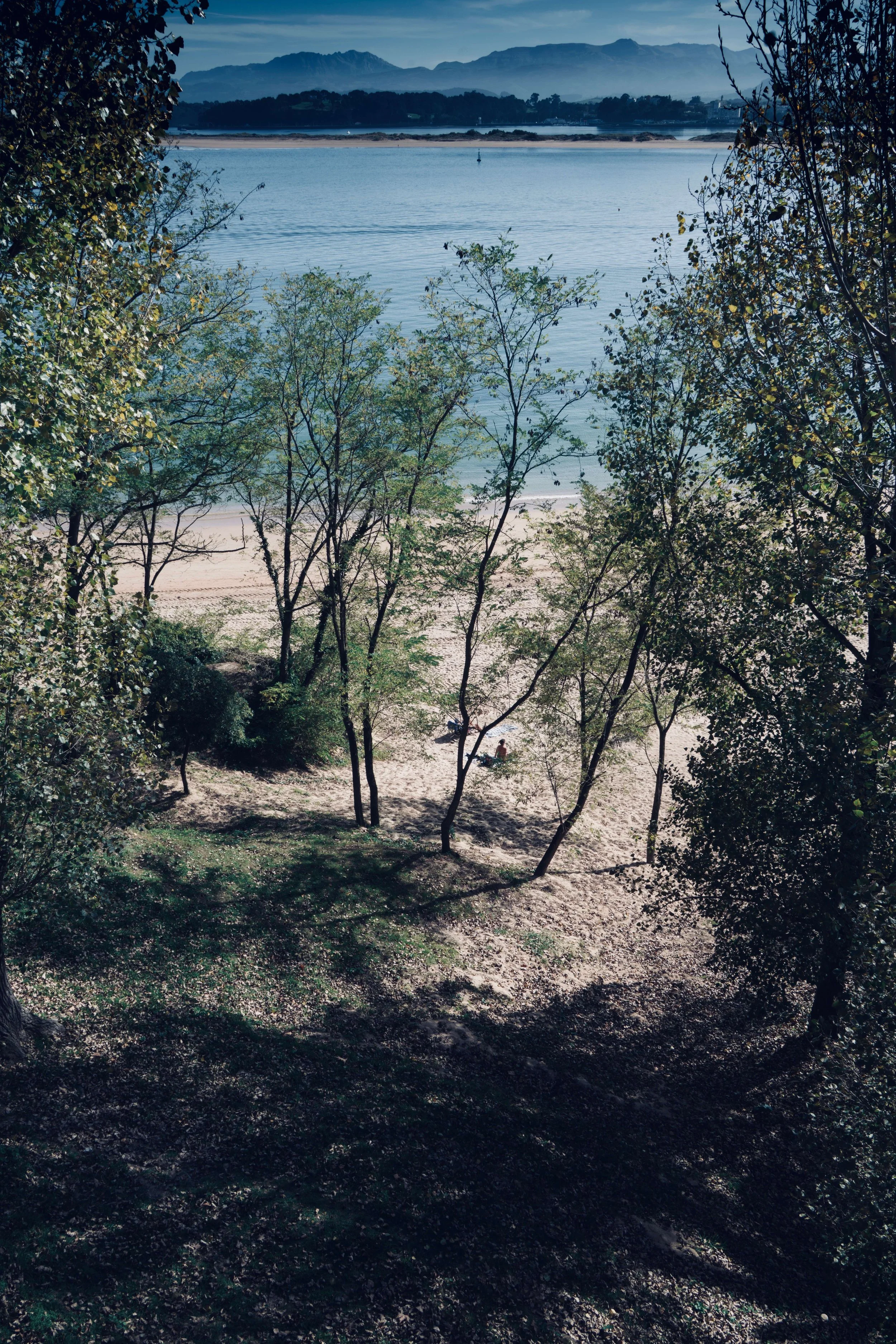 DSC03134.jpg