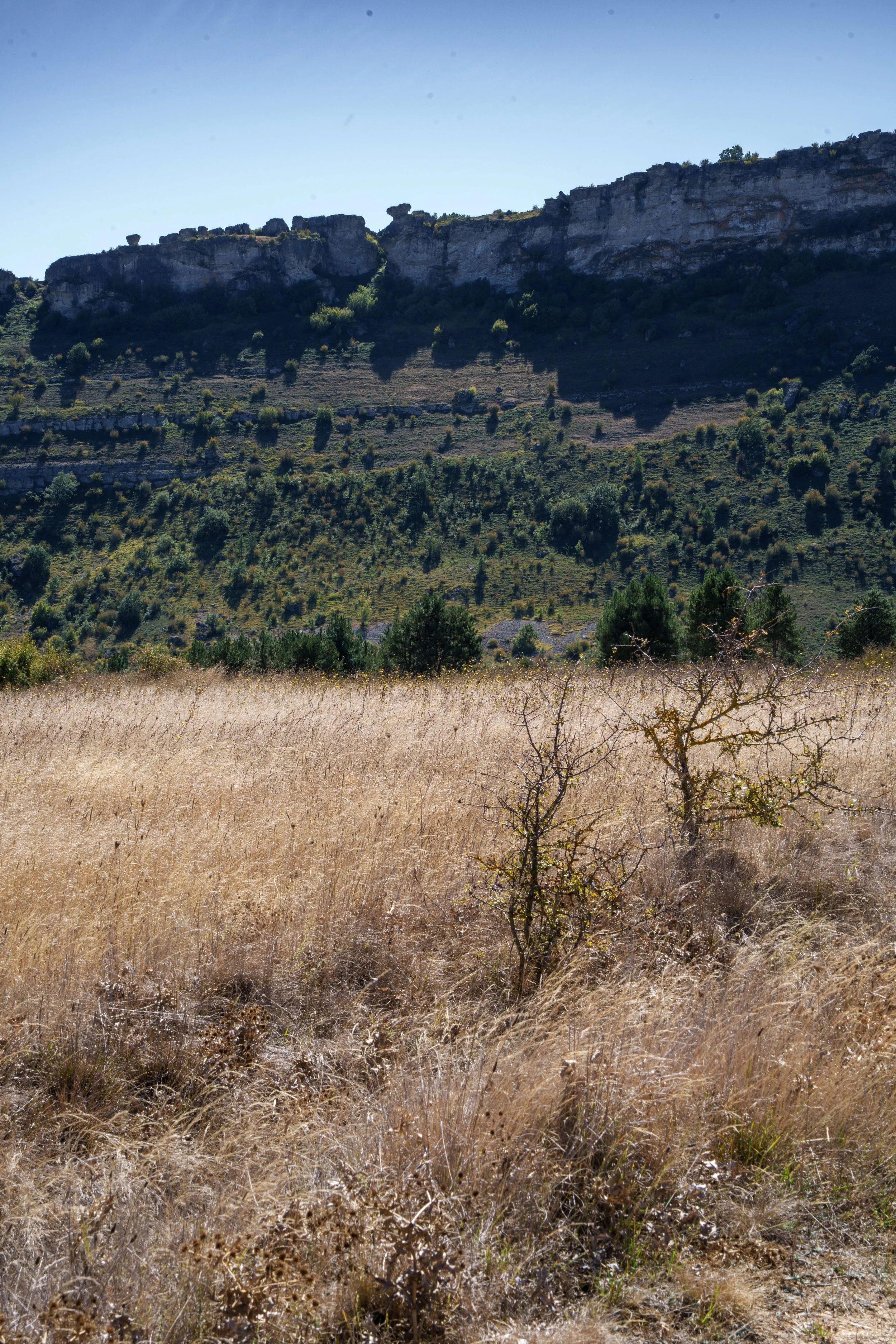 DSC07970.jpg